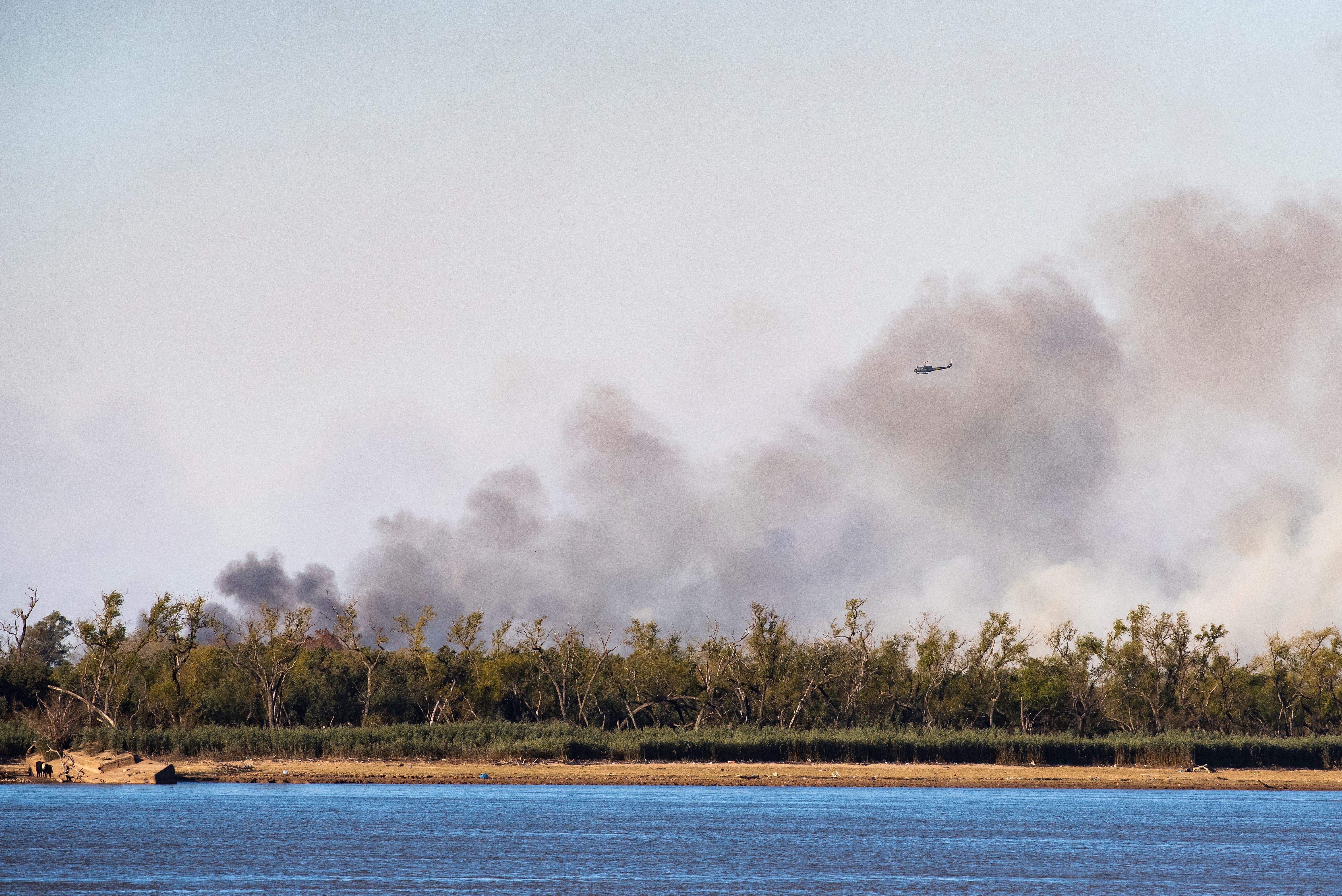 Una columna de humo se levanta debido a un incendio en el delta del río Paraná, cerca a Rosario (EFE/ Franco Trovato Fuoco/Archivo)
