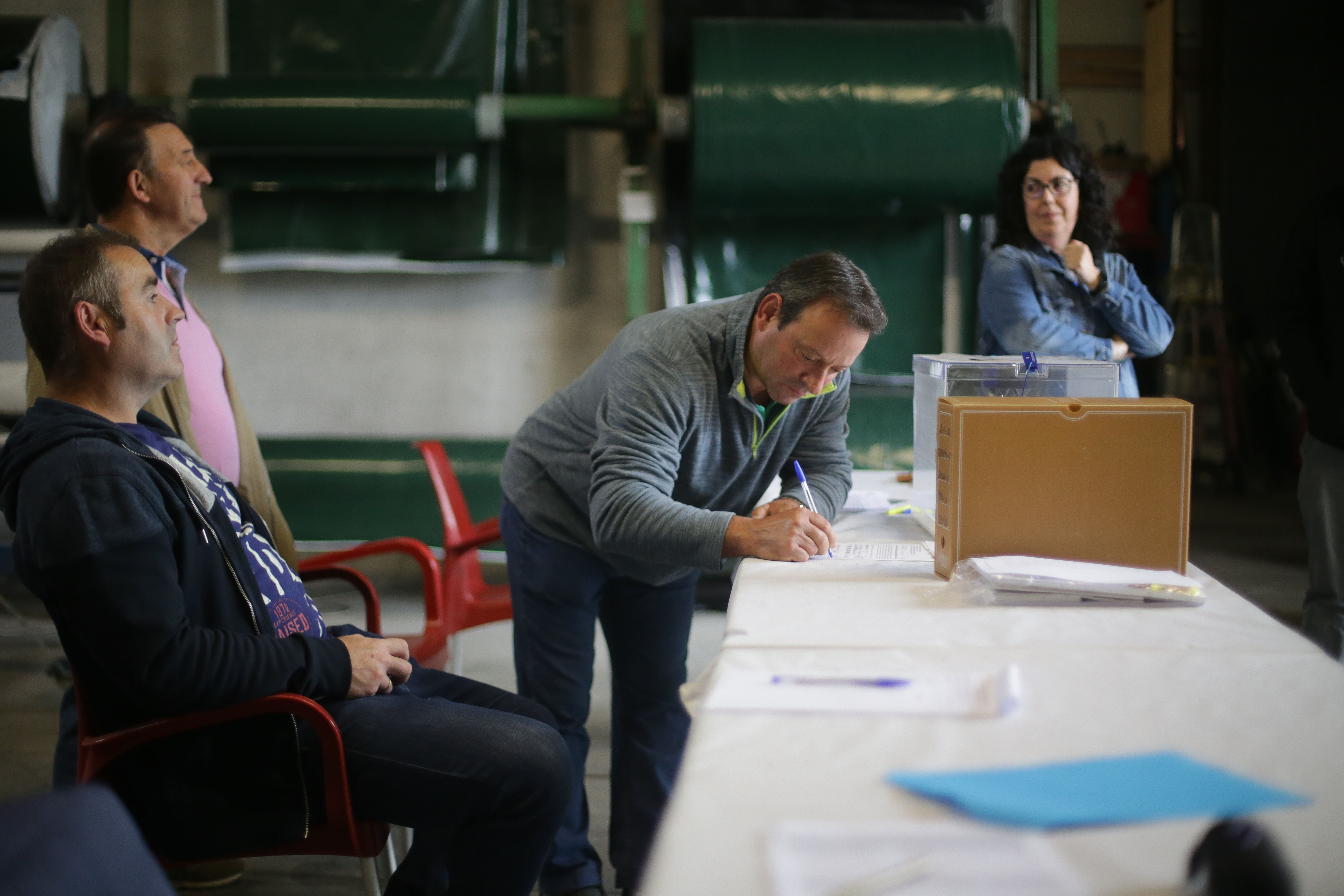 Elecciones 28-M: la cabra que ‘ha ido a votar’ en Pontevedra 