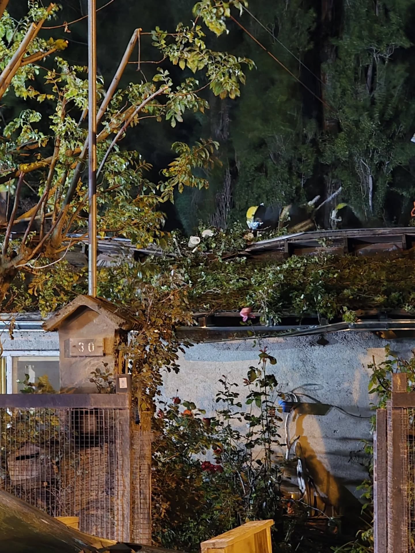 Un &aacute;rbol de 30 metros cay&oacute; sobre una casa en San Mart&iacute;n de Los Andes y dos mujeres se salvaron de milagro