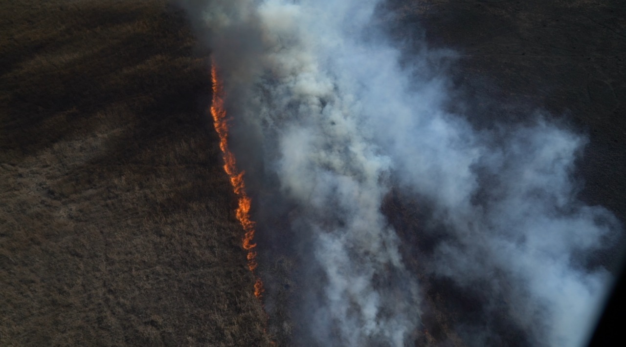 En lo que va de 2022 ya se quemaron más de 260 mil hectáreas en las islas del Delta en la provincia de Entre Ríos
