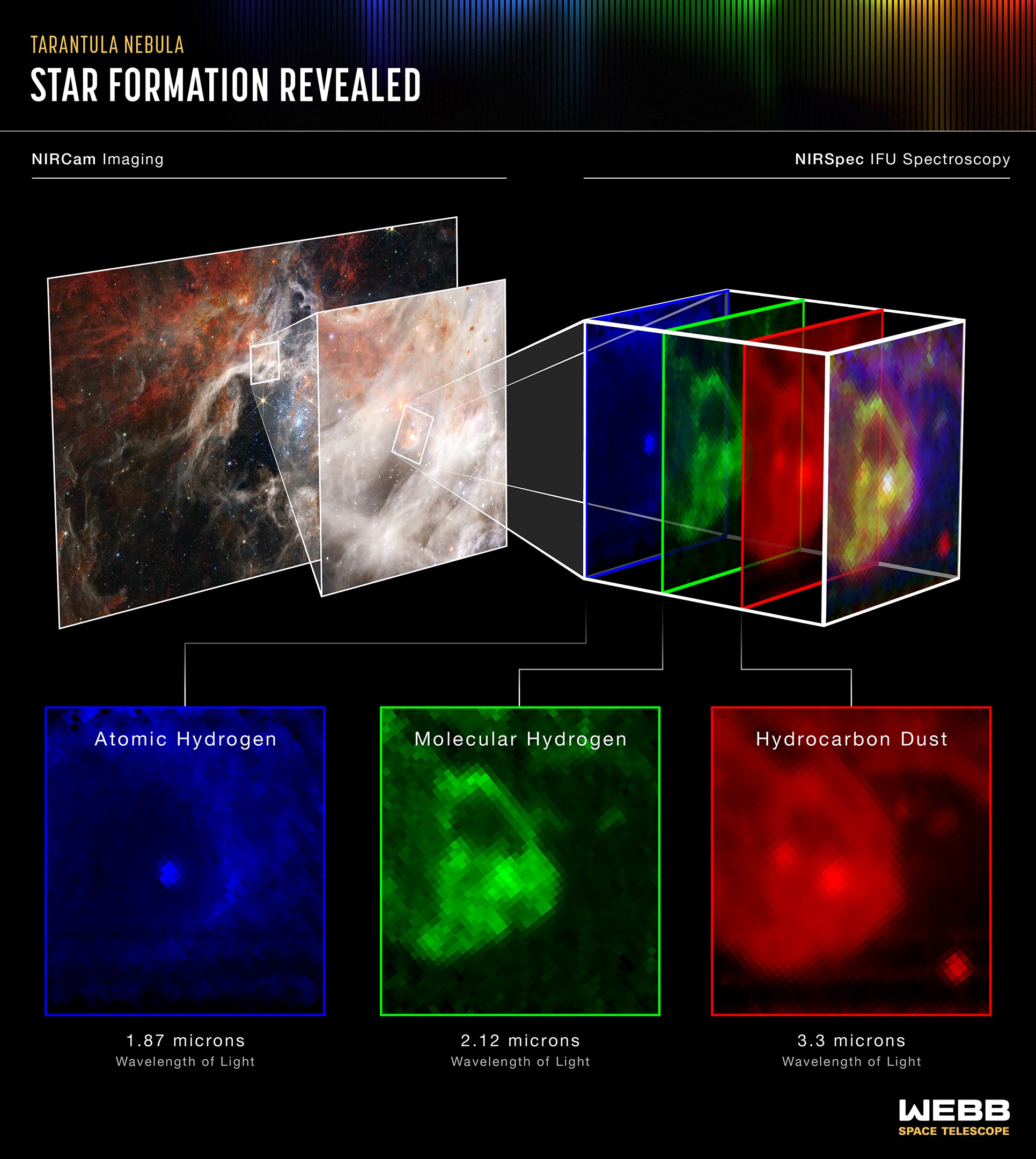 El espectrógrafo de infrarrojo cercano de Webb (NIRSpec) revela lo que realmente está sucediendo en una región fascinante de la Nebulosa de la Tarántula (NASA)