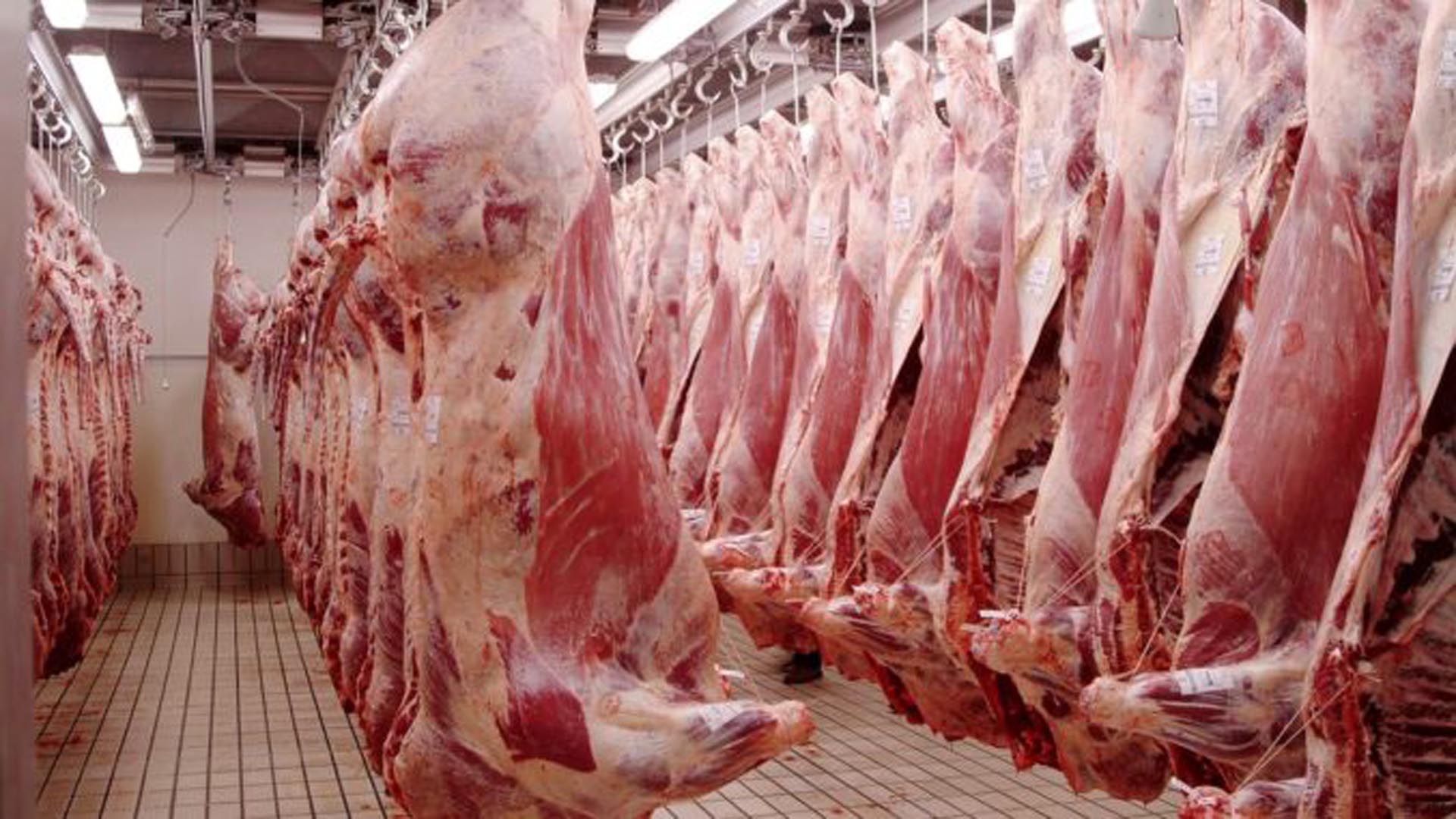 En marzo pasado se registró un nuevo récord de exportaciones de carne vacuna