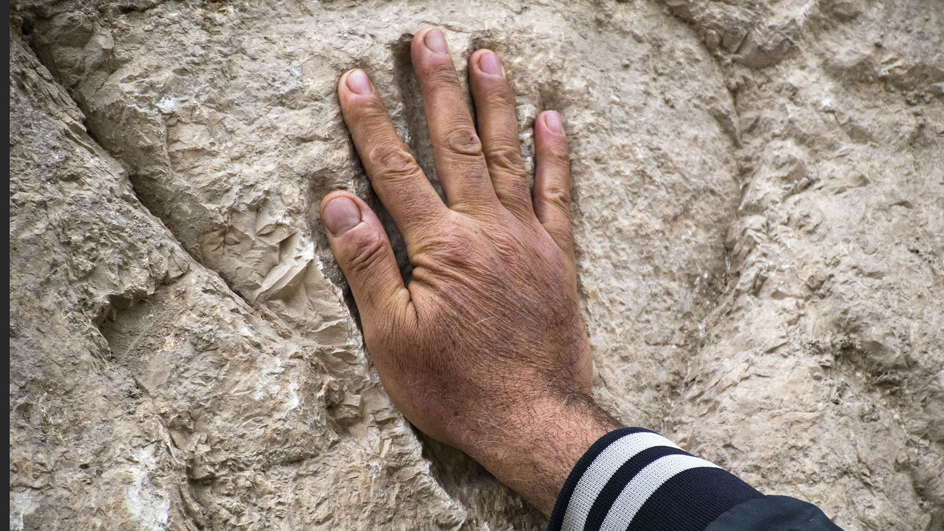 Image provided by the Israel Antiquities Authority on January 25, 2023 shows a man placing his hand in a palm print.  (Photo Israel Antiquities Authority / AFP)