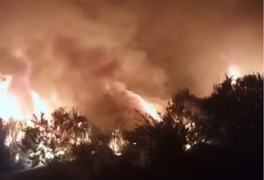 Incendio forestal en el sur de Bogotá: “Vi las llamas arrasando todo”