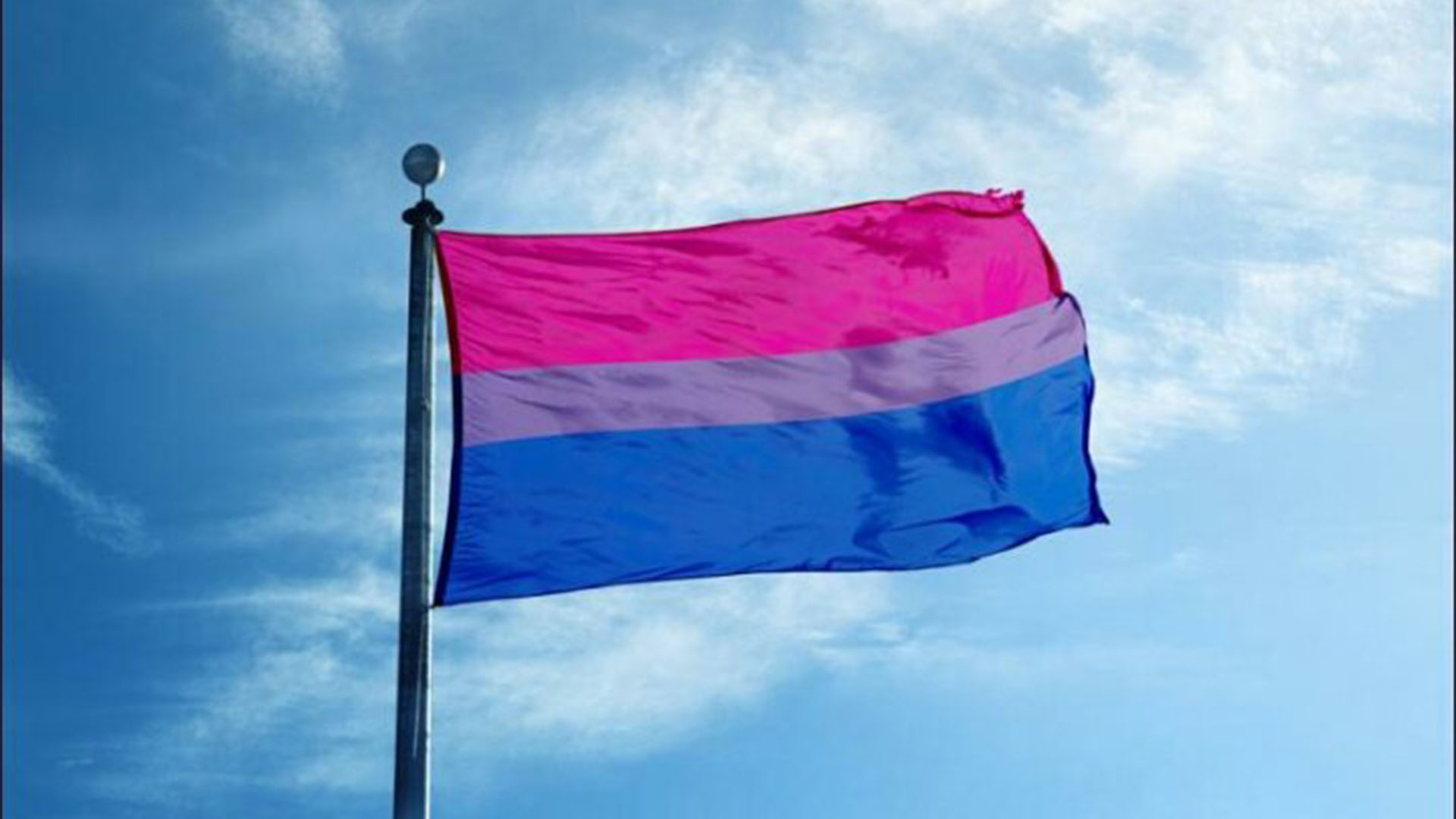 El 23 de septiembre se celebra el Día de la Bisexualidad (Foto: Twitter@calicocatxbts)