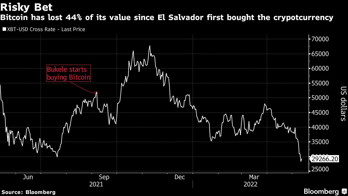 El gráfico muestra, en rojo, el momento en que El Salvador comenzó a comprar sus bitcoins y como, desde entonces, la moneda digital perdió 44% de su valor