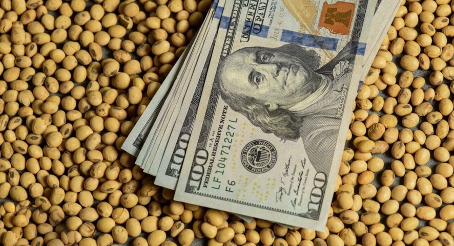 Por qu&eacute; la exportaci&oacute;n de soja podr&iacute;a impulsar la econom&iacute;a en el segundo semestre y ayudar al BCRA a comprar d&oacute;lares