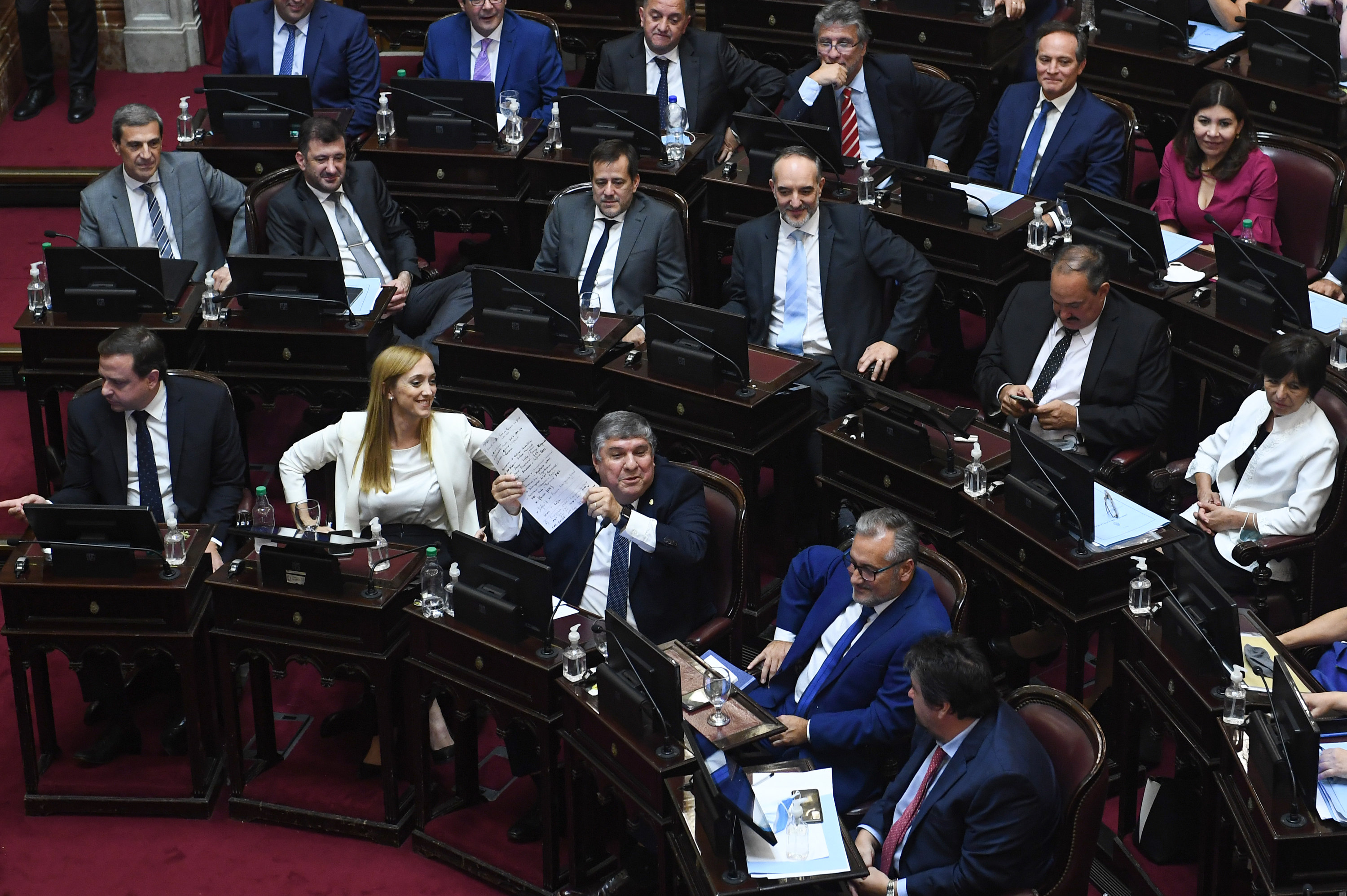 Los senadores del Frente de Todos darán un gesto de unidad para saltar la grieta entre Alberto Fernández y CFK (Foto: Gabriel Cano/Comunicacion Senado)
