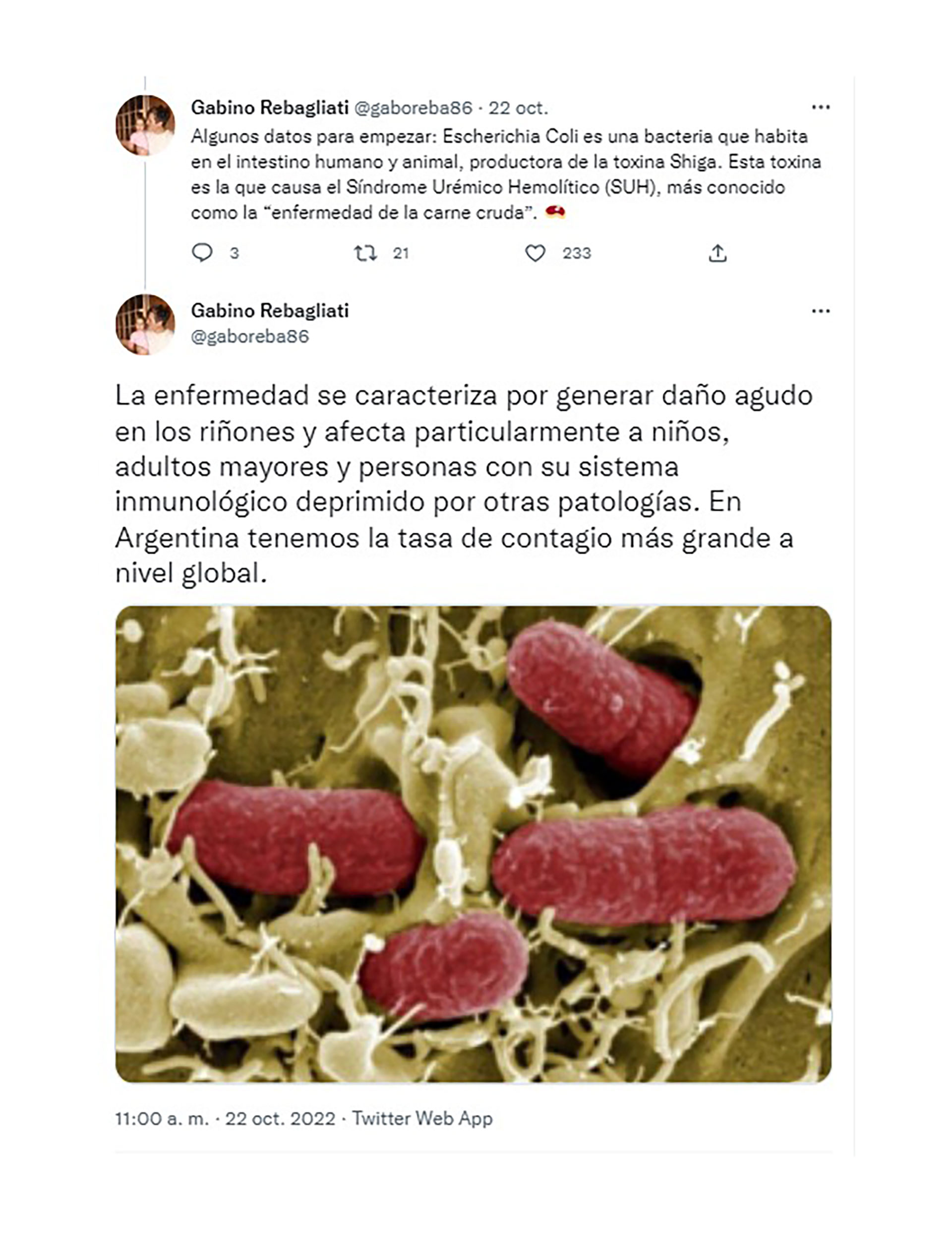 Gabino Rebagliati, jefe de comunicaciones del Grupo Bioceres, destacó el desarrollo de los científicos argentinos en un hilo de Twitter