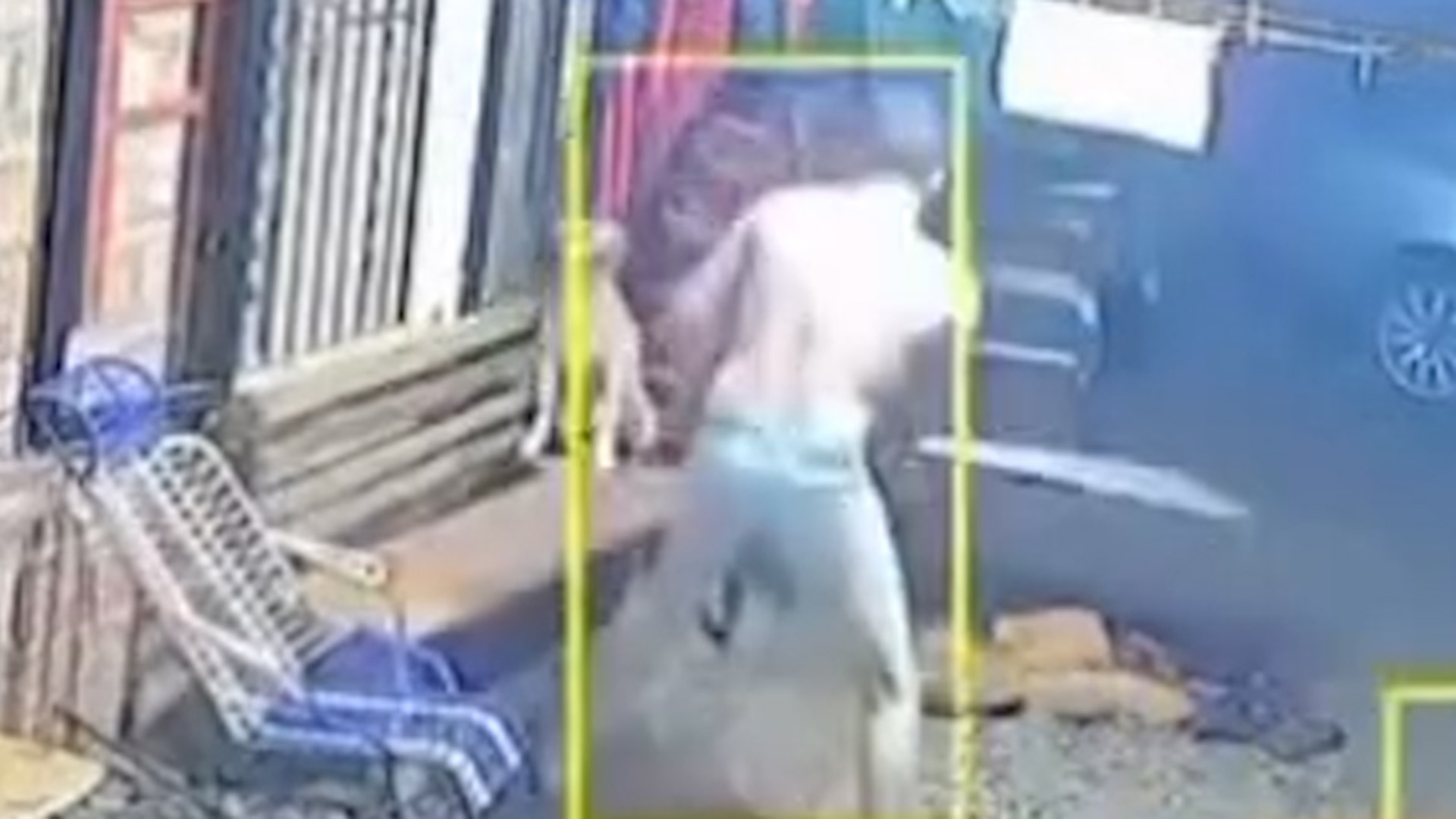 Misiones: detuvieron a un hombre por maltrato animal tras la viralizaci&oacute;n de videos donde les pegaba a perros con un bate