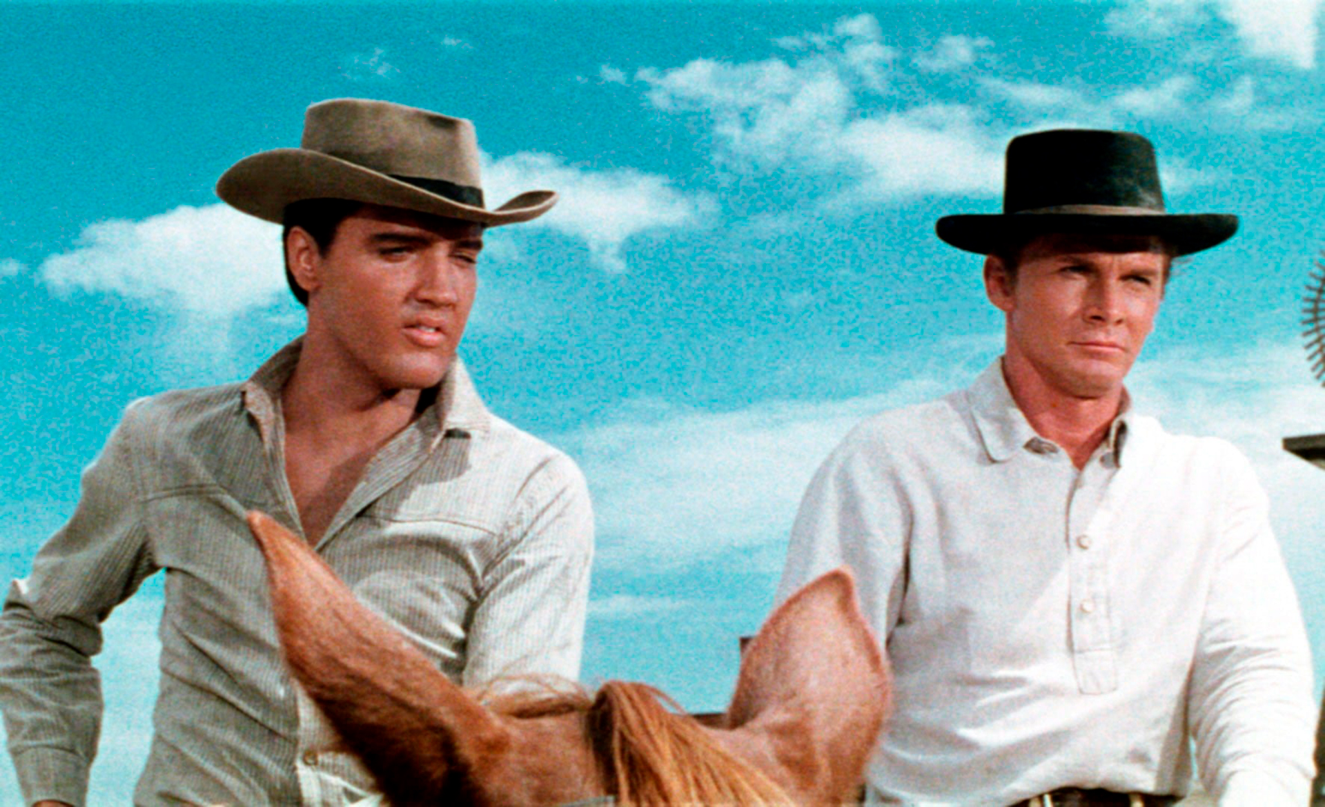 El western dramático que protagonizó Elvis Presley y que terminó  convirtiéndose en uno de los cuadros más caros de la historia - Infobae