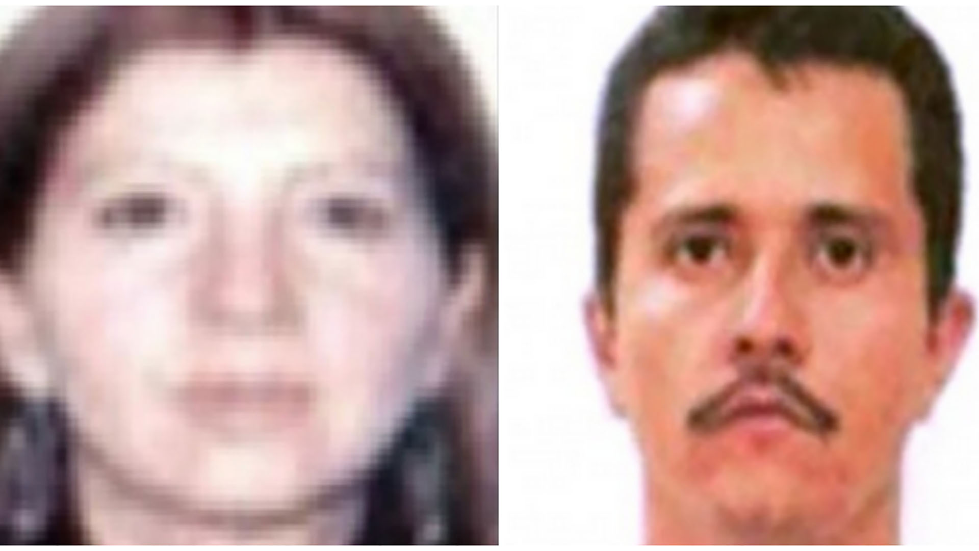 Rosalinda Gonzalez Valencia y Nemesio Oseguera formaron la alianza de sangre entre "Los Cuinis" y el CJNG.
