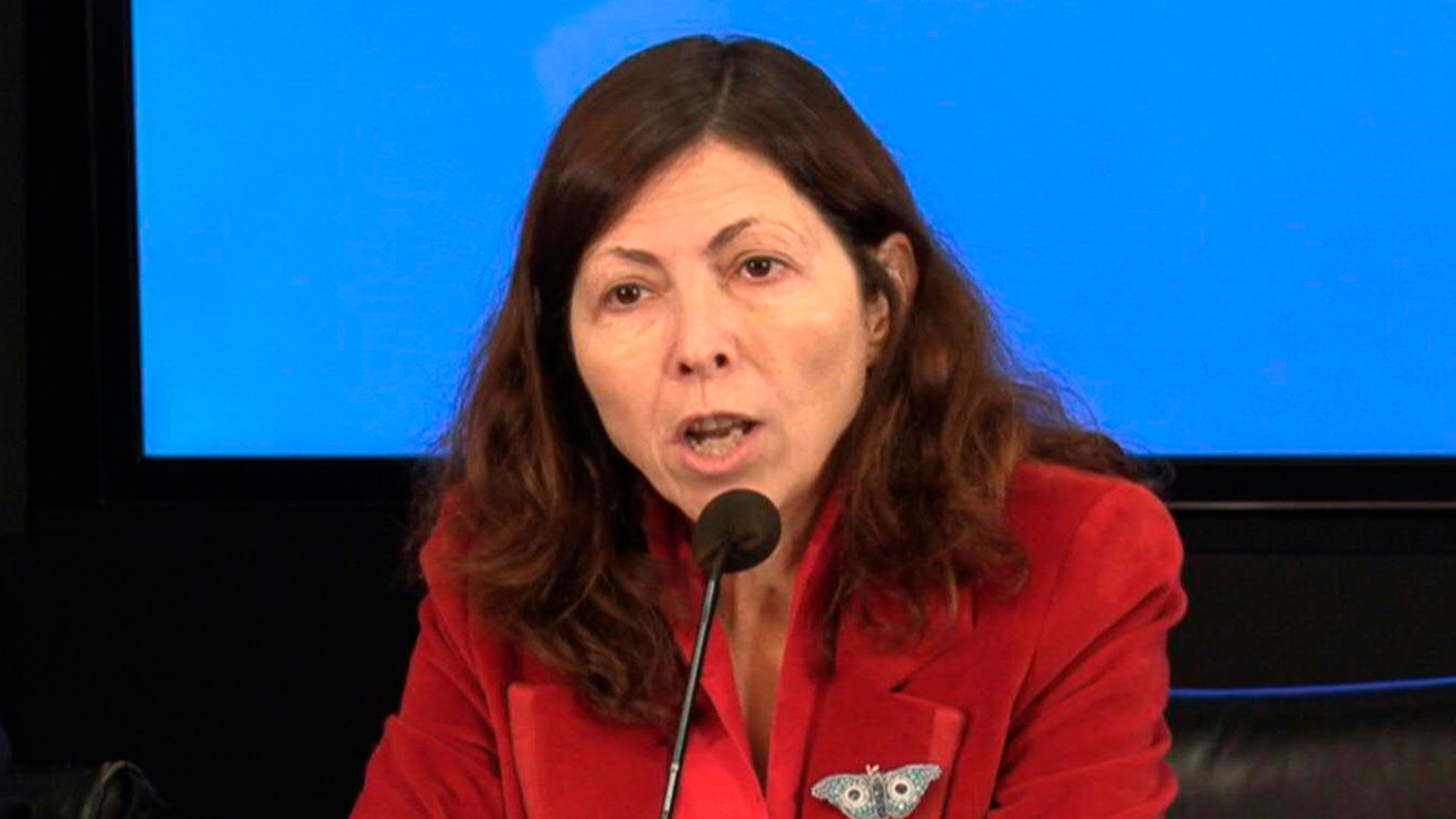 La ministra de Economía, Silvina Batakis