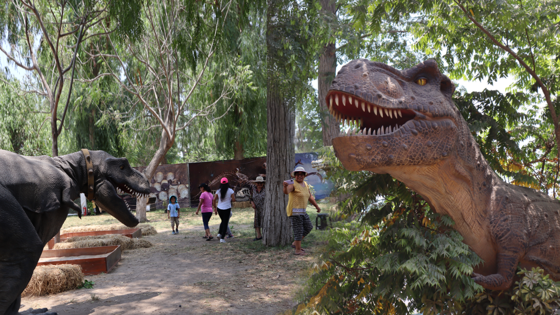 Dinoworld de Comas, el “Jurassic Park” del Club Zonal Sinchi Roca - Infobae