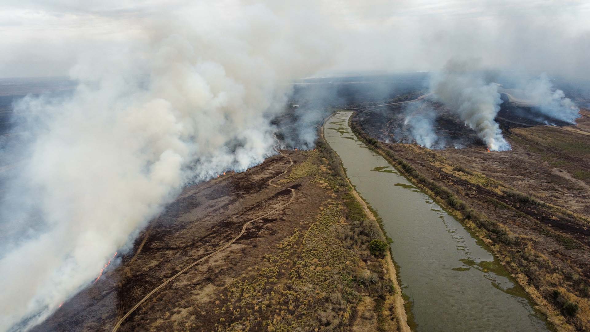 Los incendios de pastizales en el Delta del Paraná, desde el aire (Foto: Franco Fafasuli)