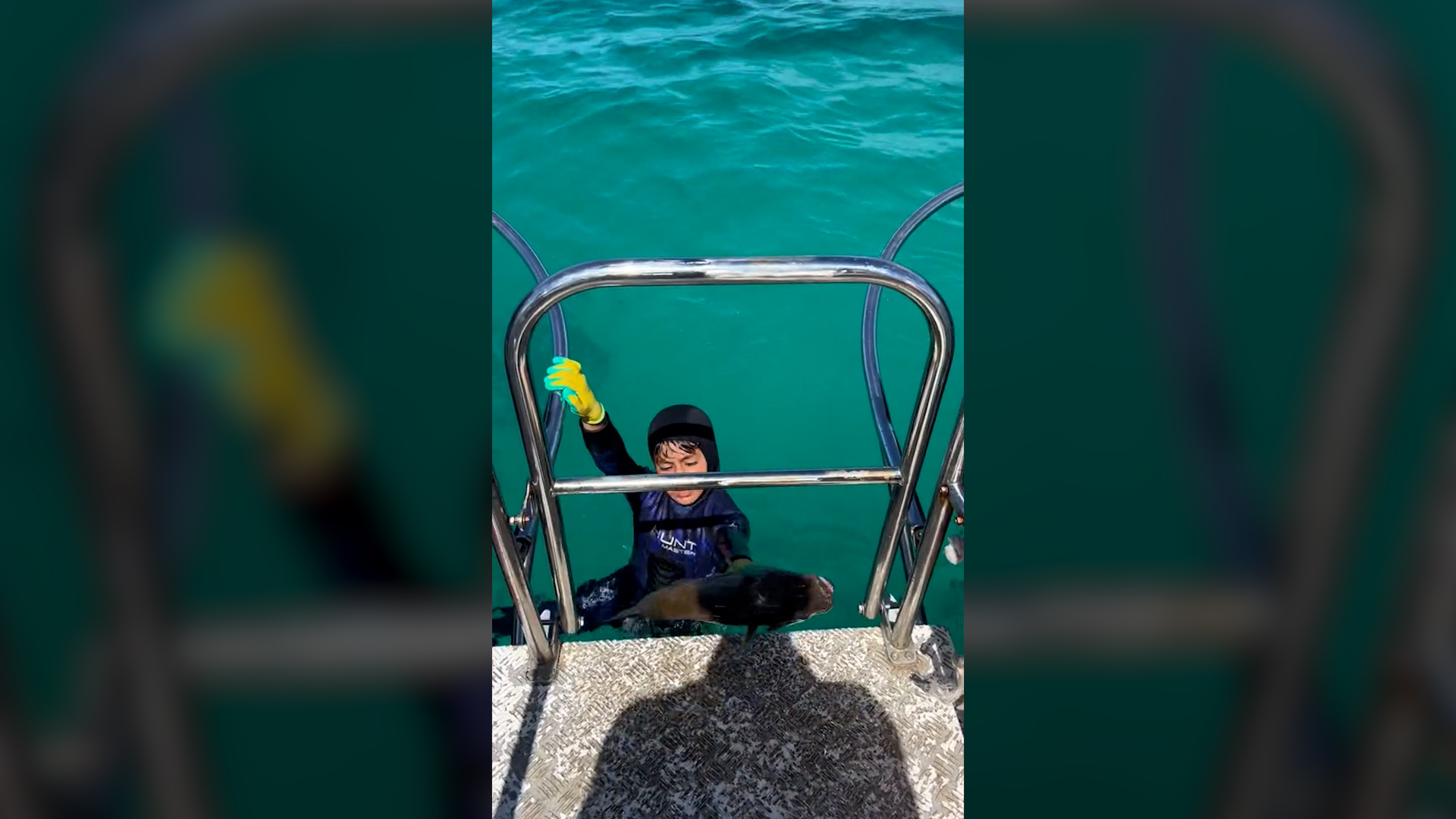 The boy was showing the camera his fishing when he was attacked by the animal