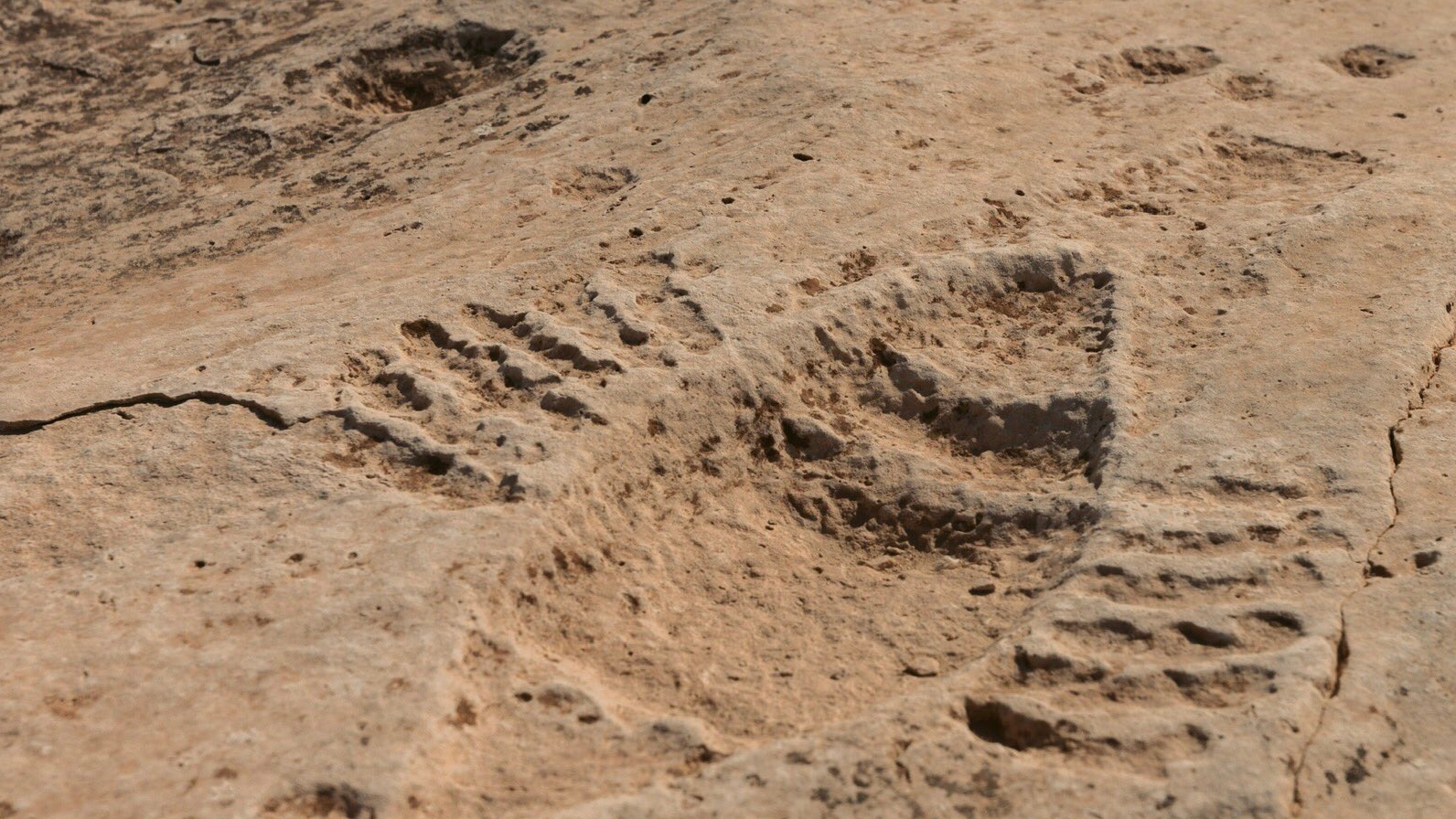 Cuál es el verdadero significado de los enigmáticos símbolos que se encuentran en el desierto de Qatar