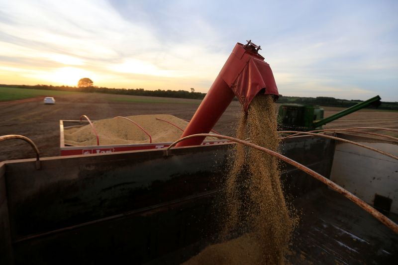 Sigue en niveles altos la participación del Estado en la renta agrícola (REUTERS/Jorge Adorno)
