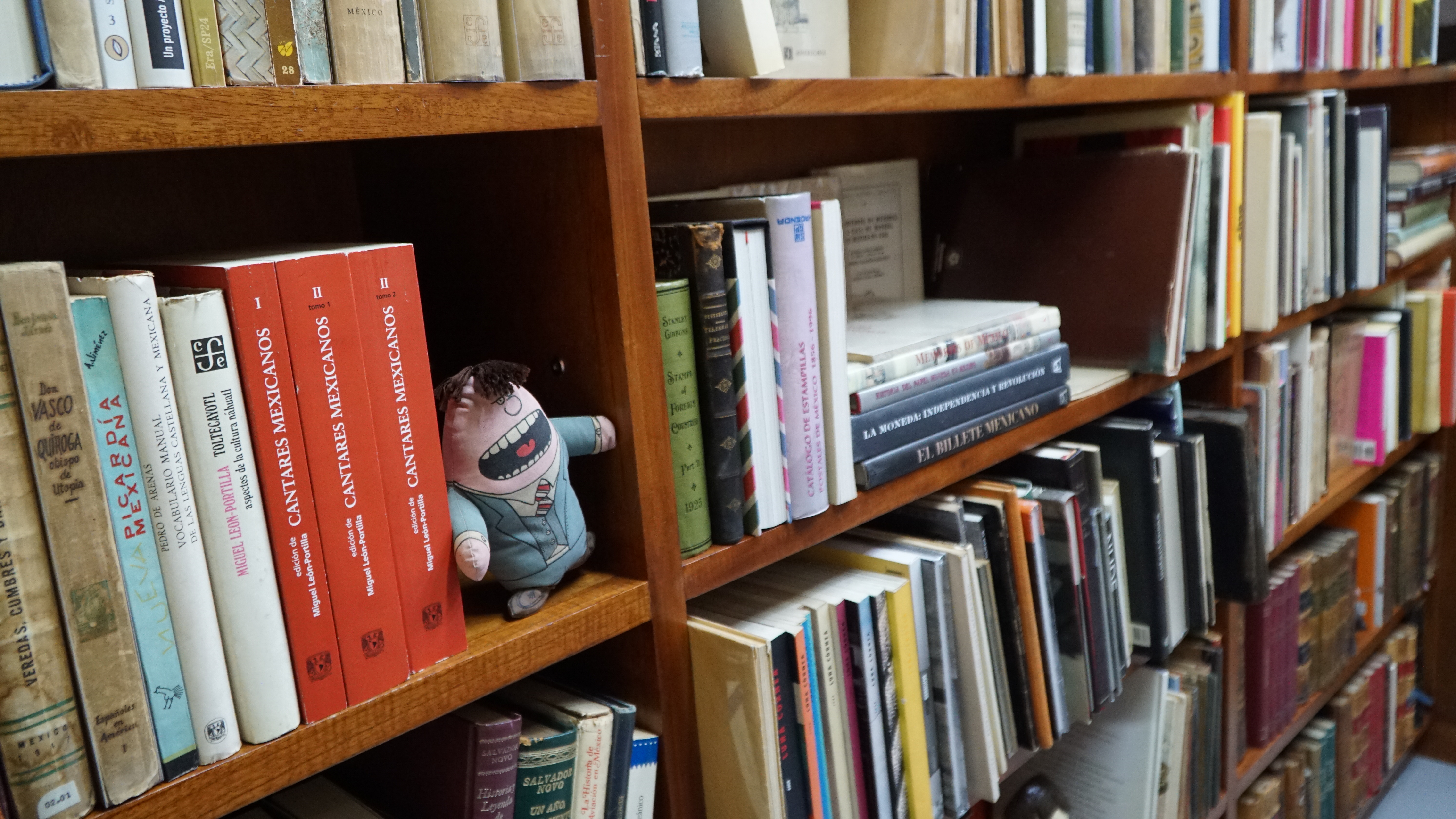 "Papelitas" es la más reciente librería de Max Ramos (Foto: Karla Tapia/Infobae México)