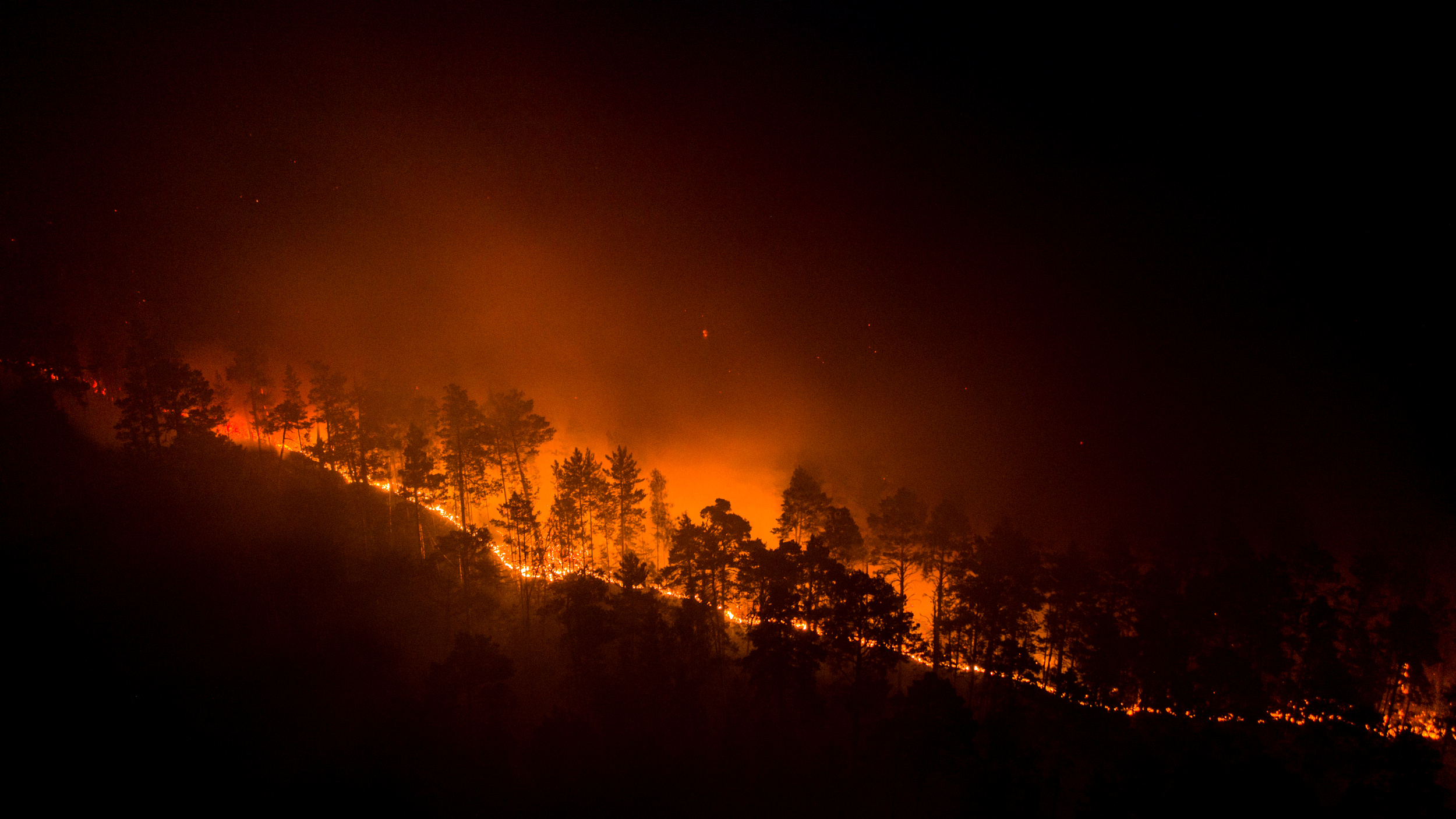 Incendios forestales causados por la ola de calor sin preced - Noticias Viajeras: de Actualidad, Curiosas... - Foro General de Viajes