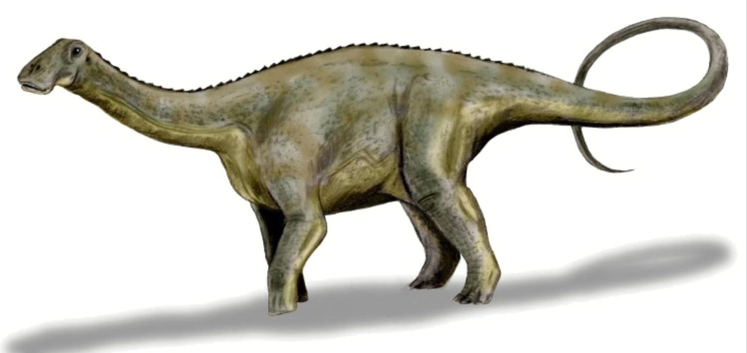 En la provincia de Neuquén se hallaron restos fósiles pertenecientes a un dinosaurio herbívoro que vivió hace 100 millones de años