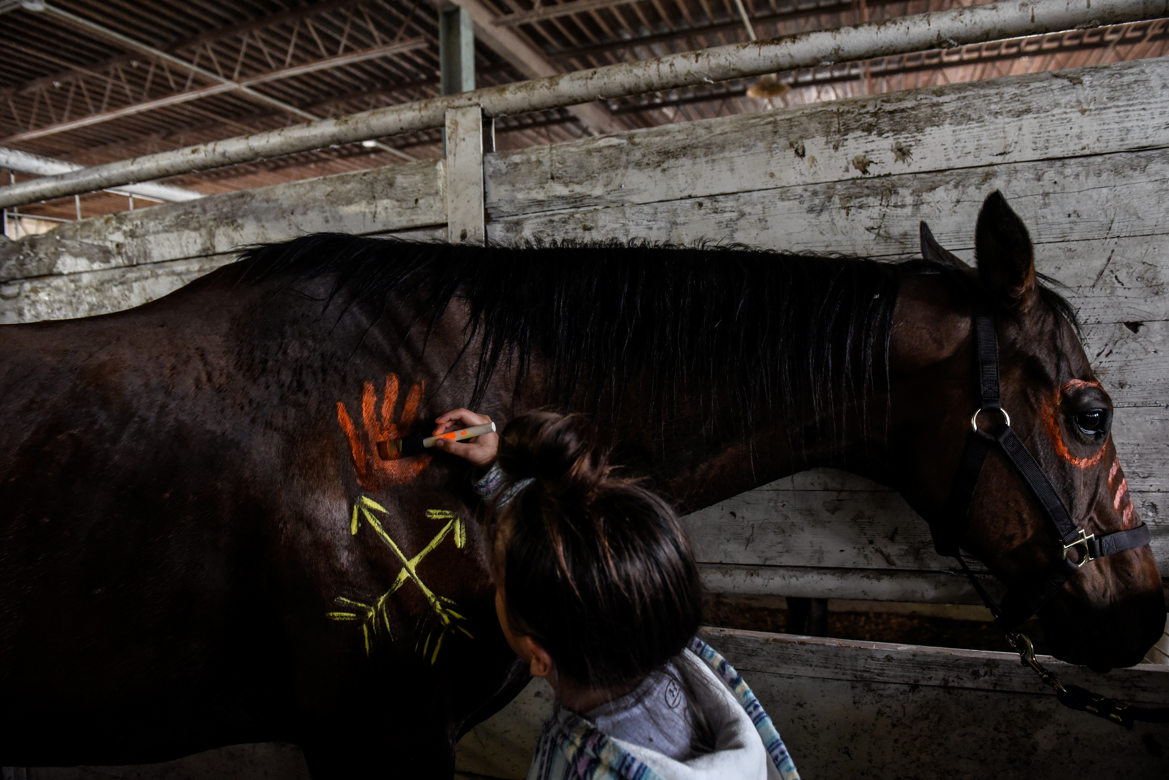 Un caballo puede generar hasta 2.000 taka [23 dólares] al día (Reuters)