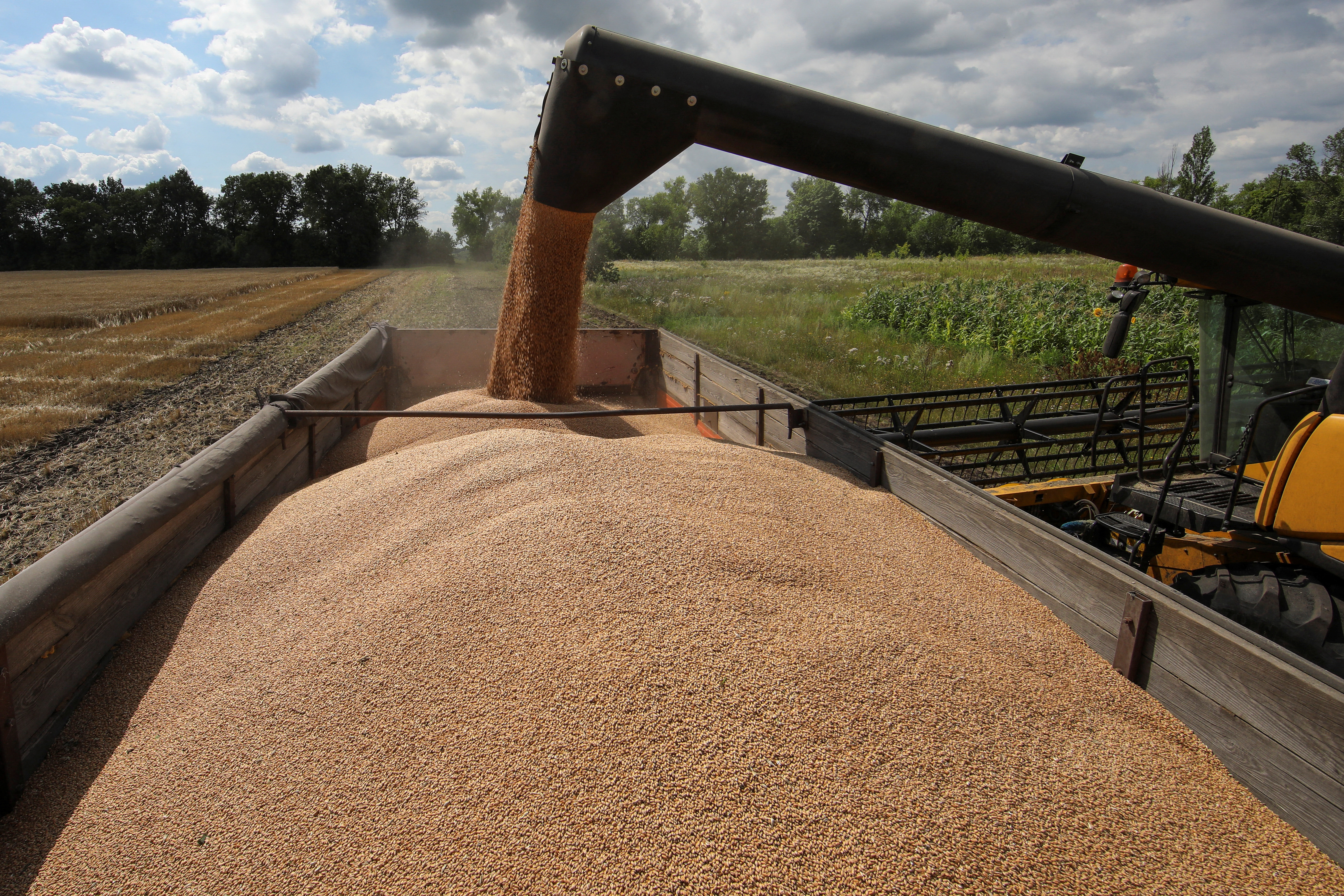 Cayeron 20% las ventas de automóviles en China y el régimen impone medidas para regular el mercado