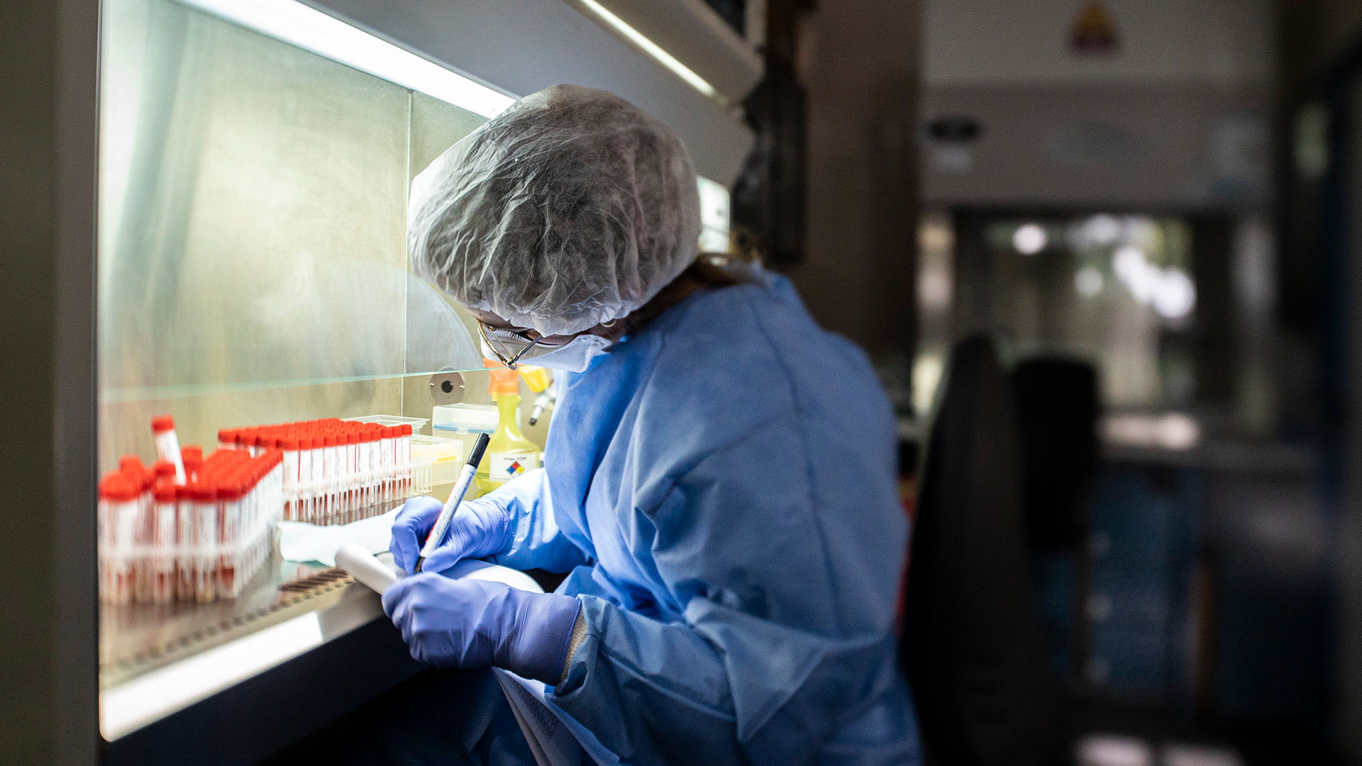 La vigilancia genómica en el país se realiza a través del Instituto Malbrán y el Proyecto PAIS que ya ha secuenciado más de 1000 genomas virales de SARS-CoV-2 desde el inicio de la pandemia a la fecha.