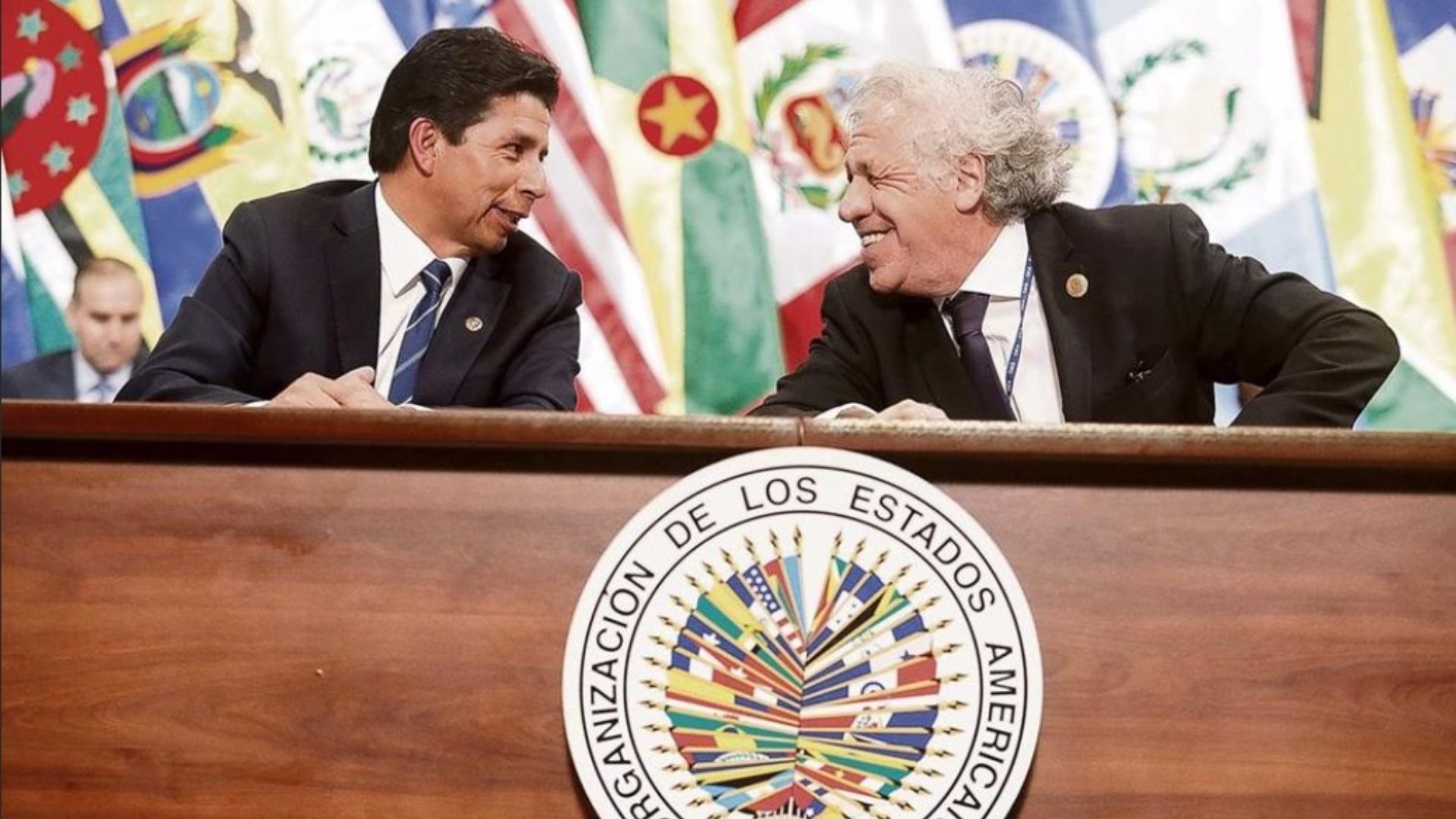 Misión de la OEA llegó al Perú a pedido del presidente Pedro Castillo.