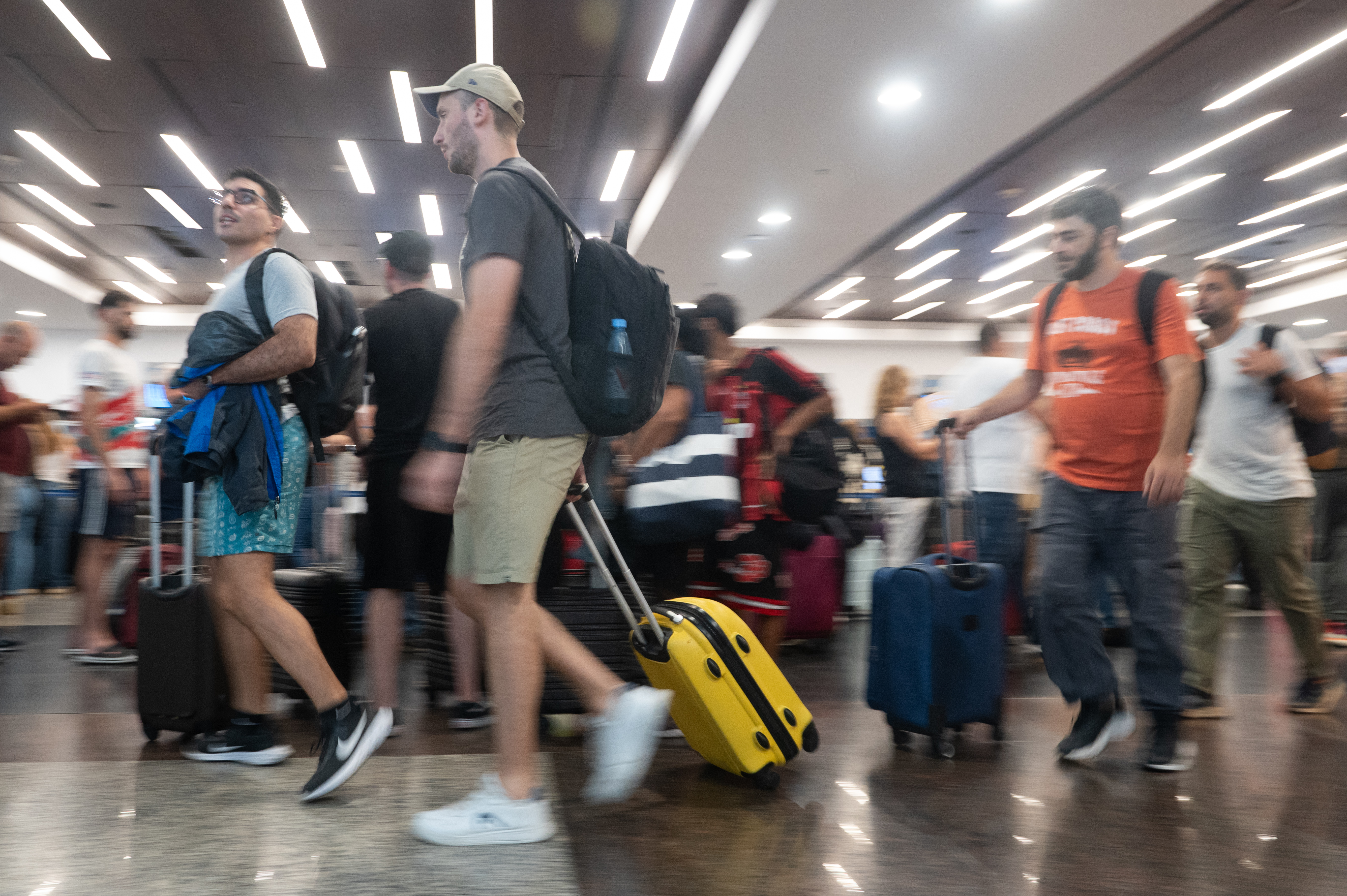 La convivencia social y con animales mejoran el microbioma intestinal en los mayores de 60 años  