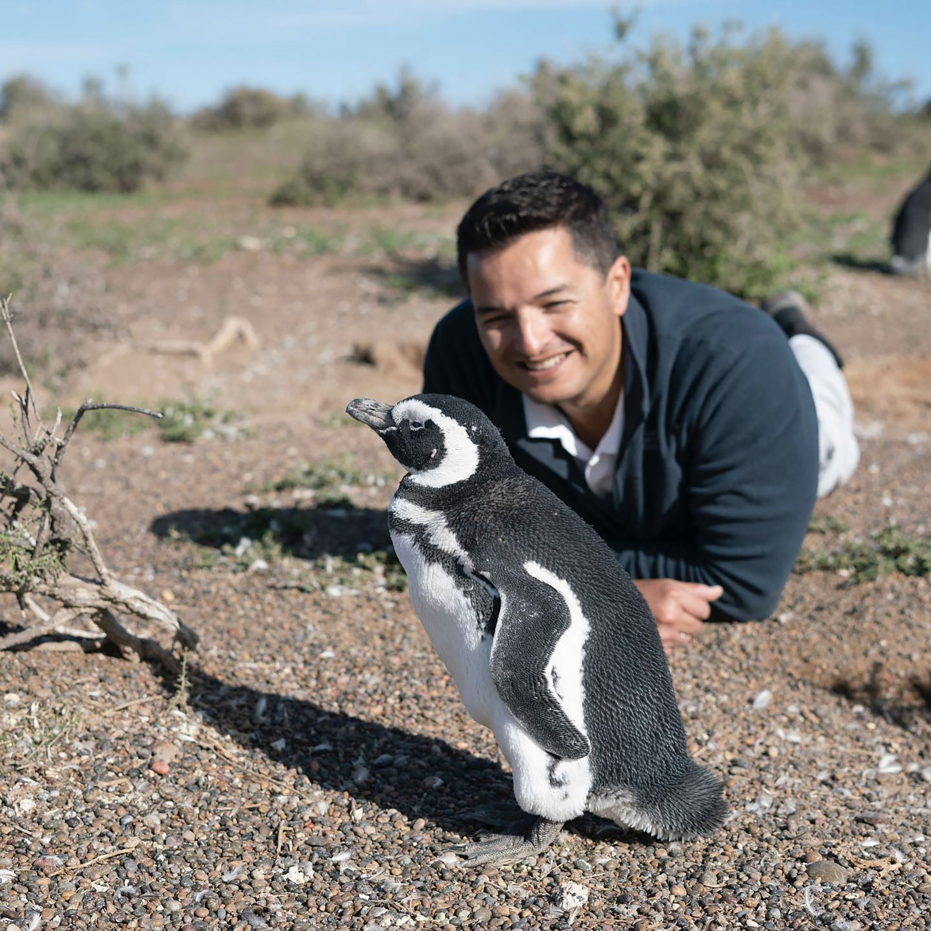 García Borboroglu vive en Puerto Madryn e inició su trabajo con pingüinos y conservación marina hace casi tres décadas (Global Penguin Society)