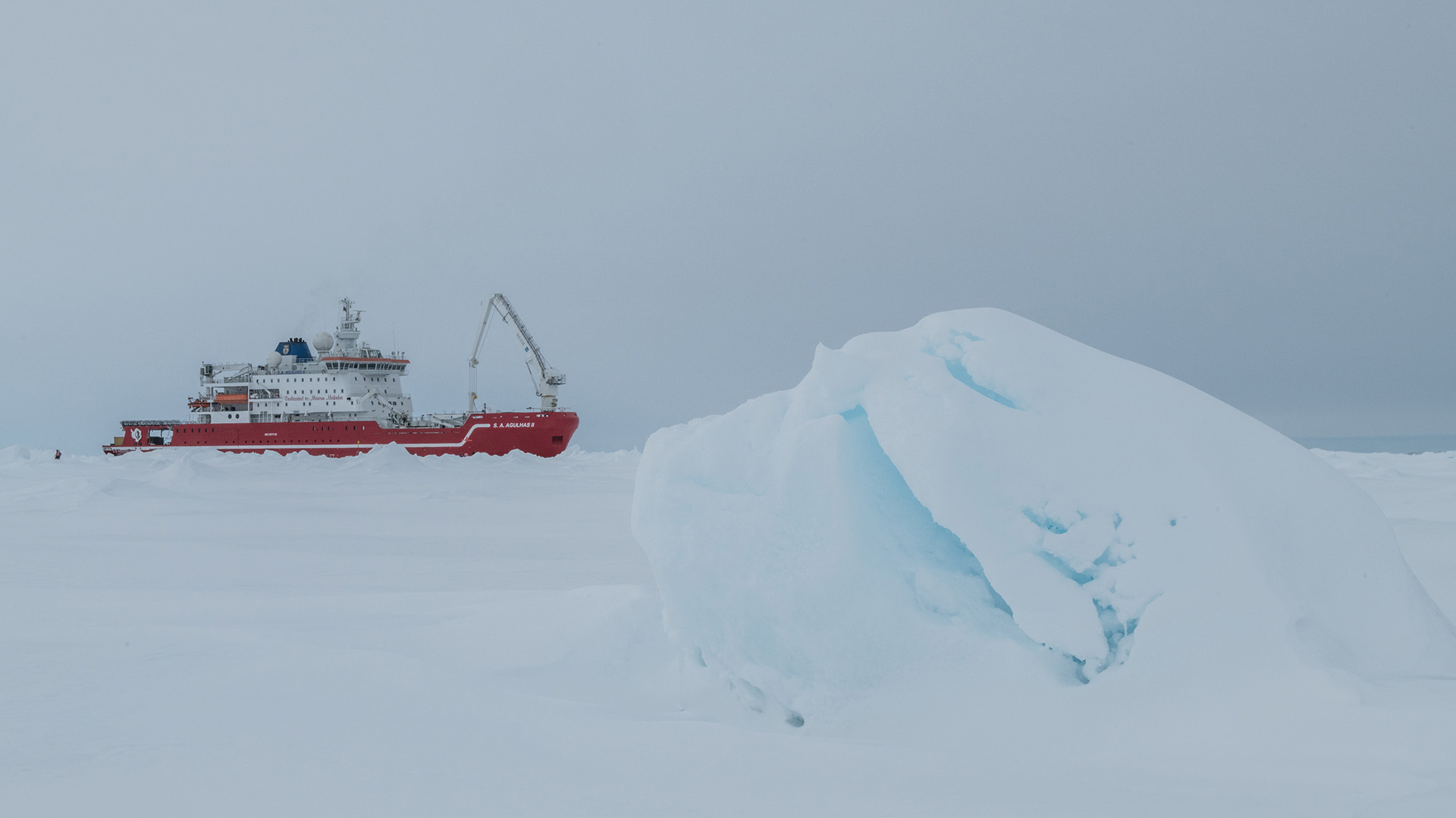 En la región hay temperaturas extremas durante todo el año (Photo by Esther HORVATH / Falklands Maritime Heritage Trust / AFP) 