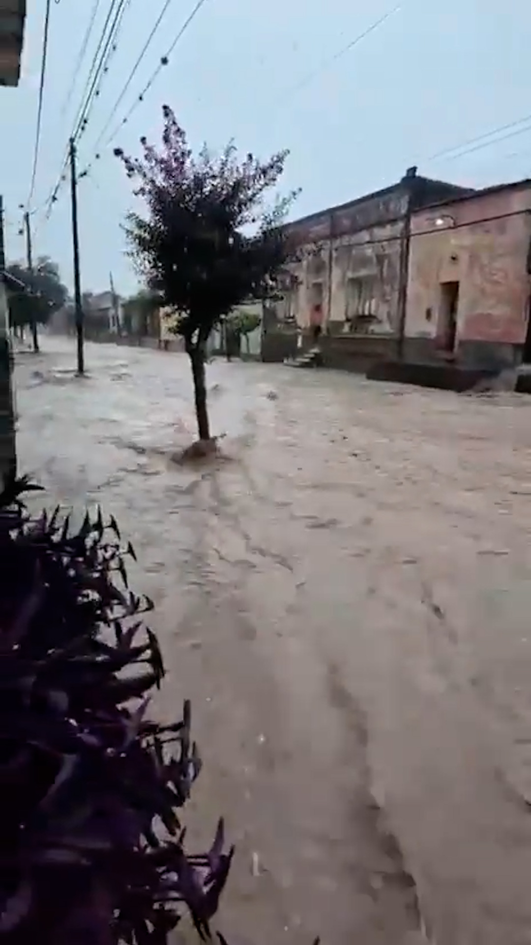 Una fuerte tormenta azotó a Salta: inundaciones, rutas cortadas y un dramático rescate 