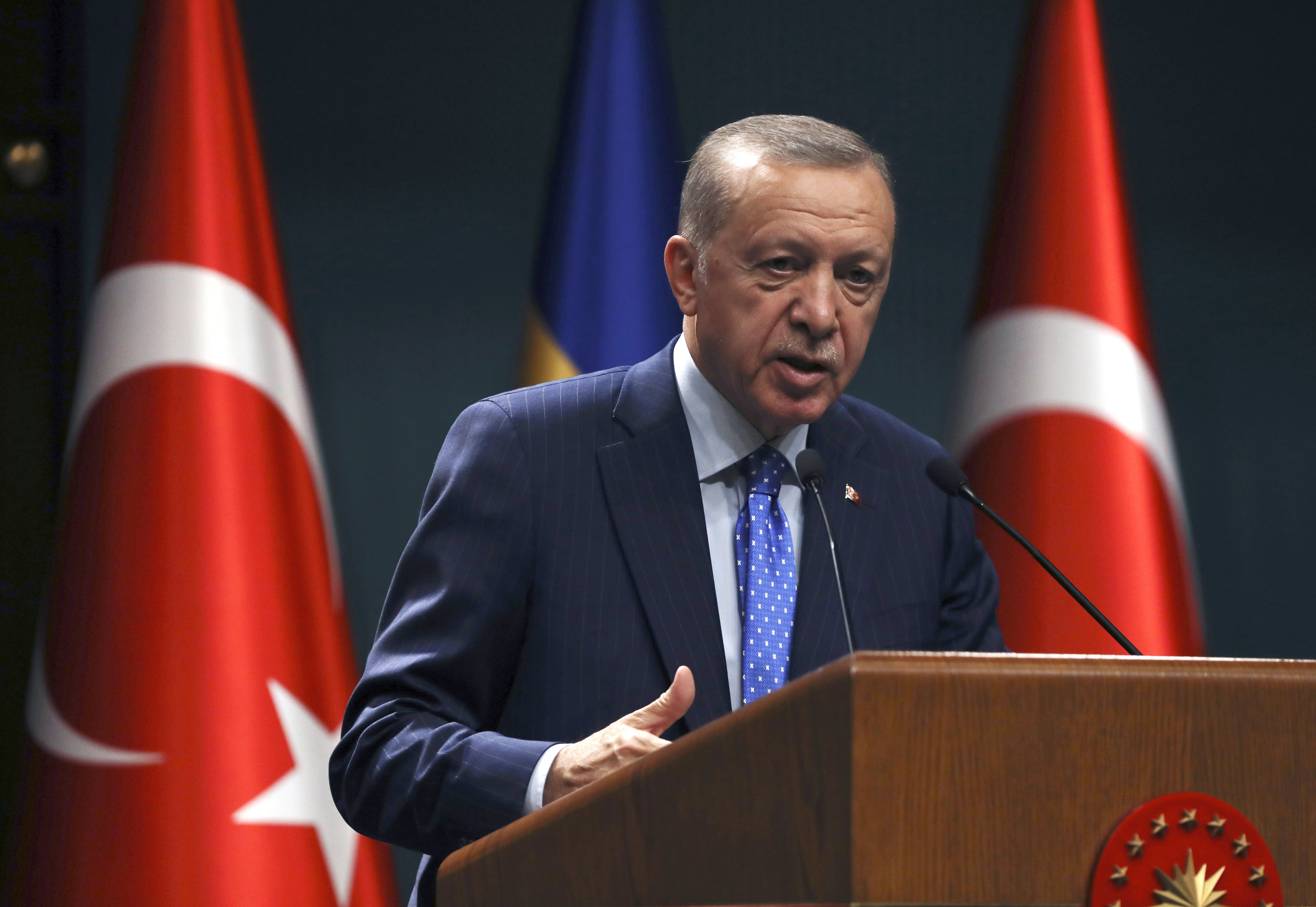 Erdogan dijo que Turquía podría aceptar a Finlandia en la OTAN pero no a Suecia