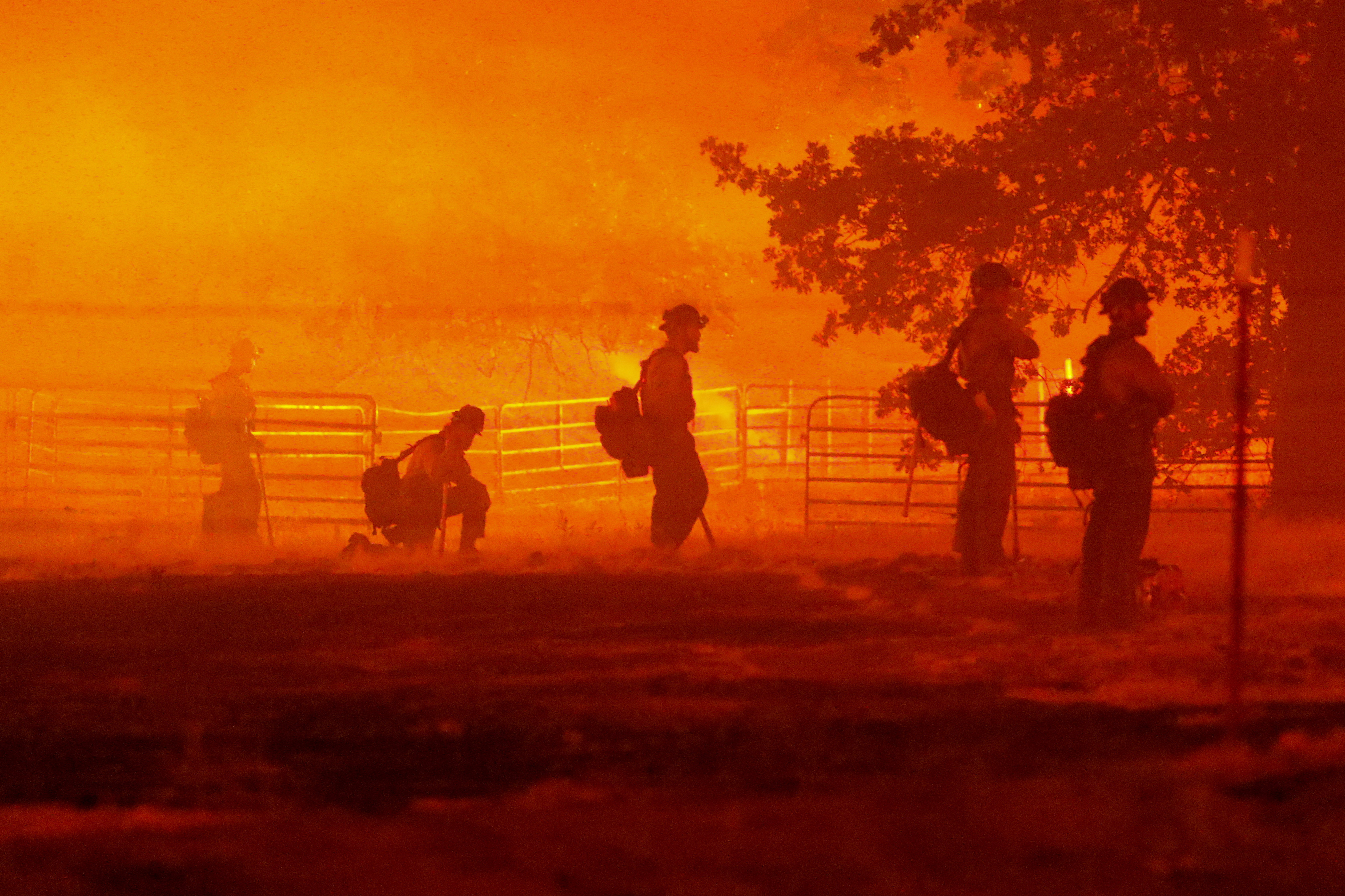 Bomberos observan cómo arde el incendio Oak en Darrah, en el condado de Mariposa, California, el 22 de julio de 2022 (REUTERS/David Swanson)