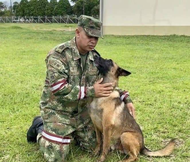 Wilson, el perro perdido en la selva del Guaviare, junto a su instructor ( Foto: Ejército de Colombia)