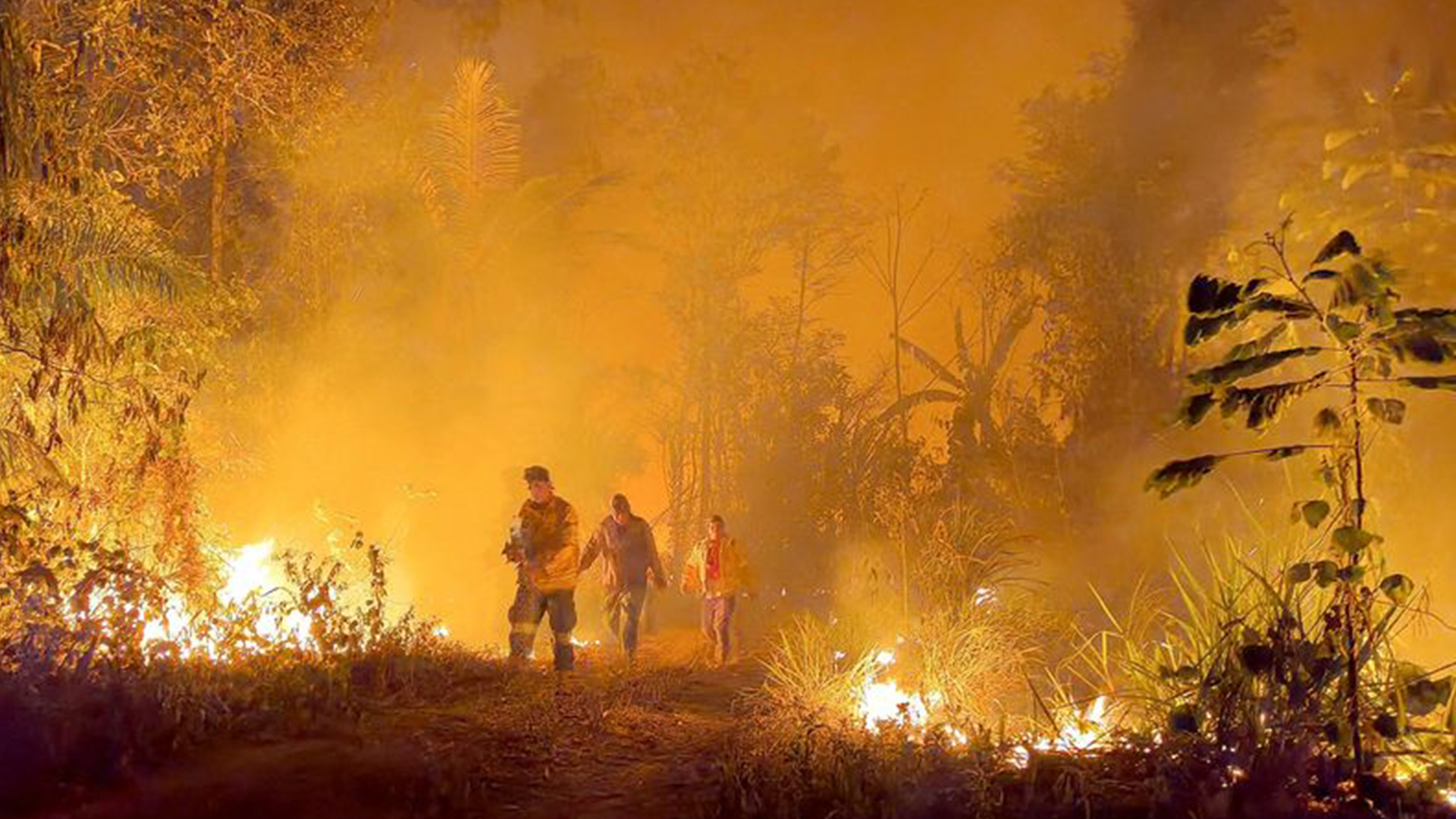 Dos millones de hectáreas quemadas en dos meses: los incendios en Bolivia están fuera de control y llegaron a áreas protegidas