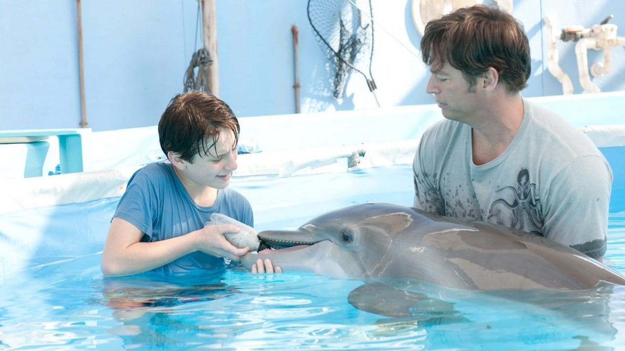 La rehabilitación del delfín logra unir la relación padre e hijo.