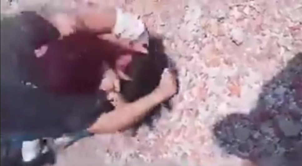 La brutal pelea entre dos chicas previo al ataque a los maestros en una escuela: “Por meterte con macho ajeno”