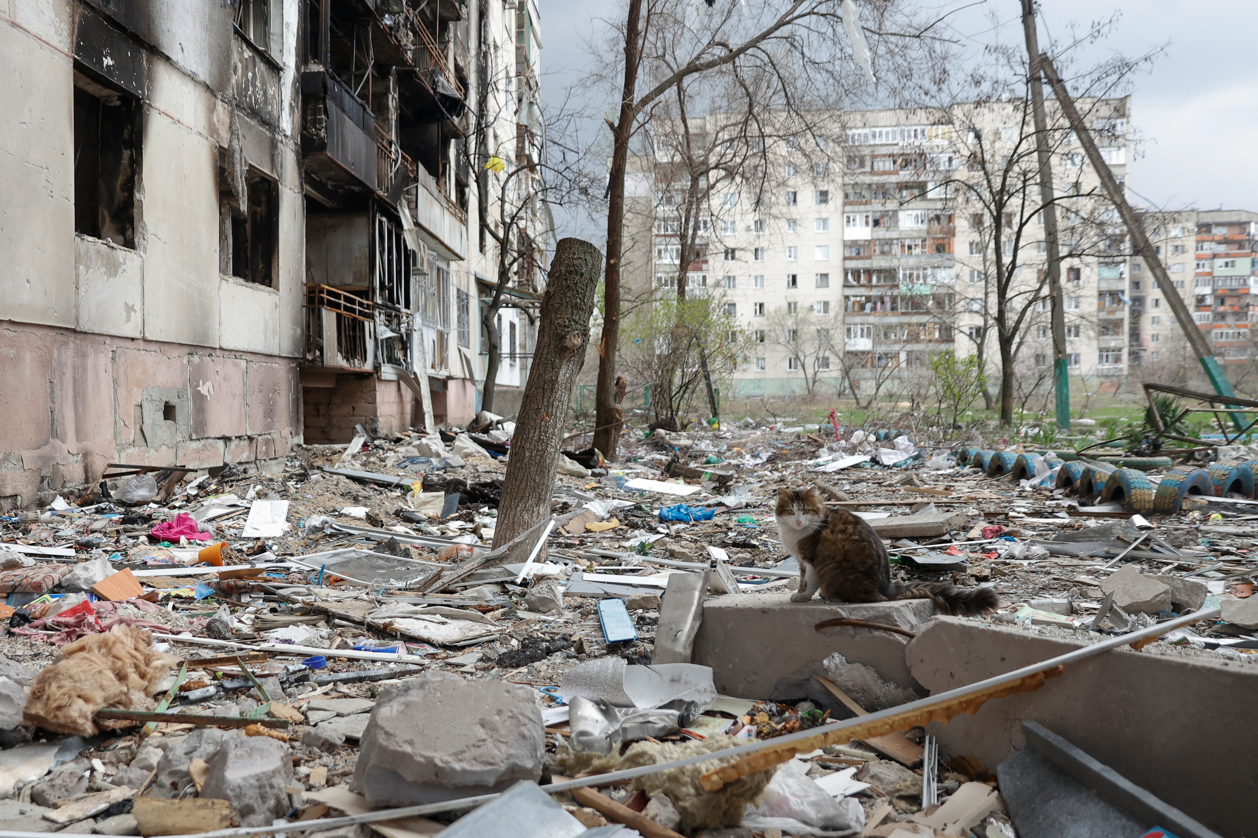 La destrucción en Sivierodonetsk (REUTERS/Serhii Nuzhnenko)