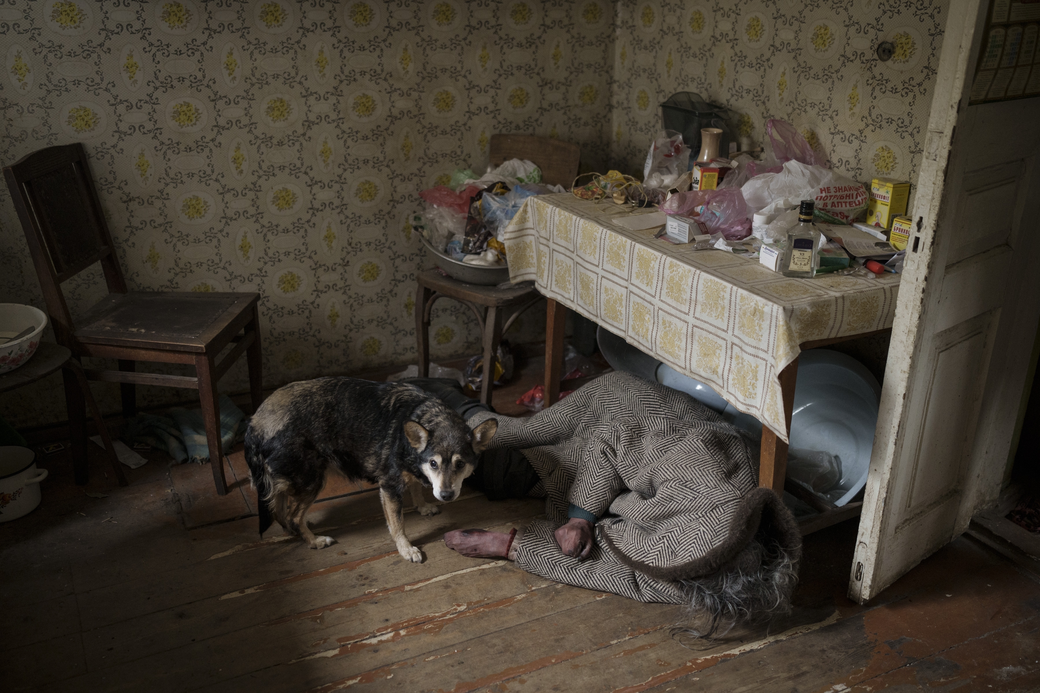 Un perro junto al cuerpo de una anciana asesinada dentro de una casa en Bucha, en las afueras de Kiev, Ucrania, el 5 de abril de 2022 (Foto AP/Felipe Dana)