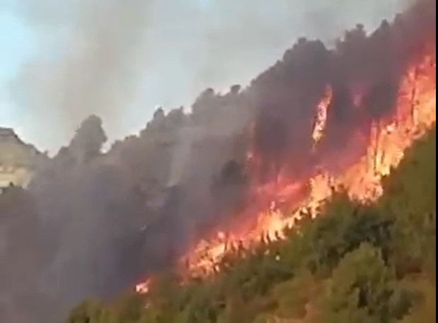Autoridades entregan información relacionada a incendio en Páramo del Cauca. @CapazMauricio. Twitter