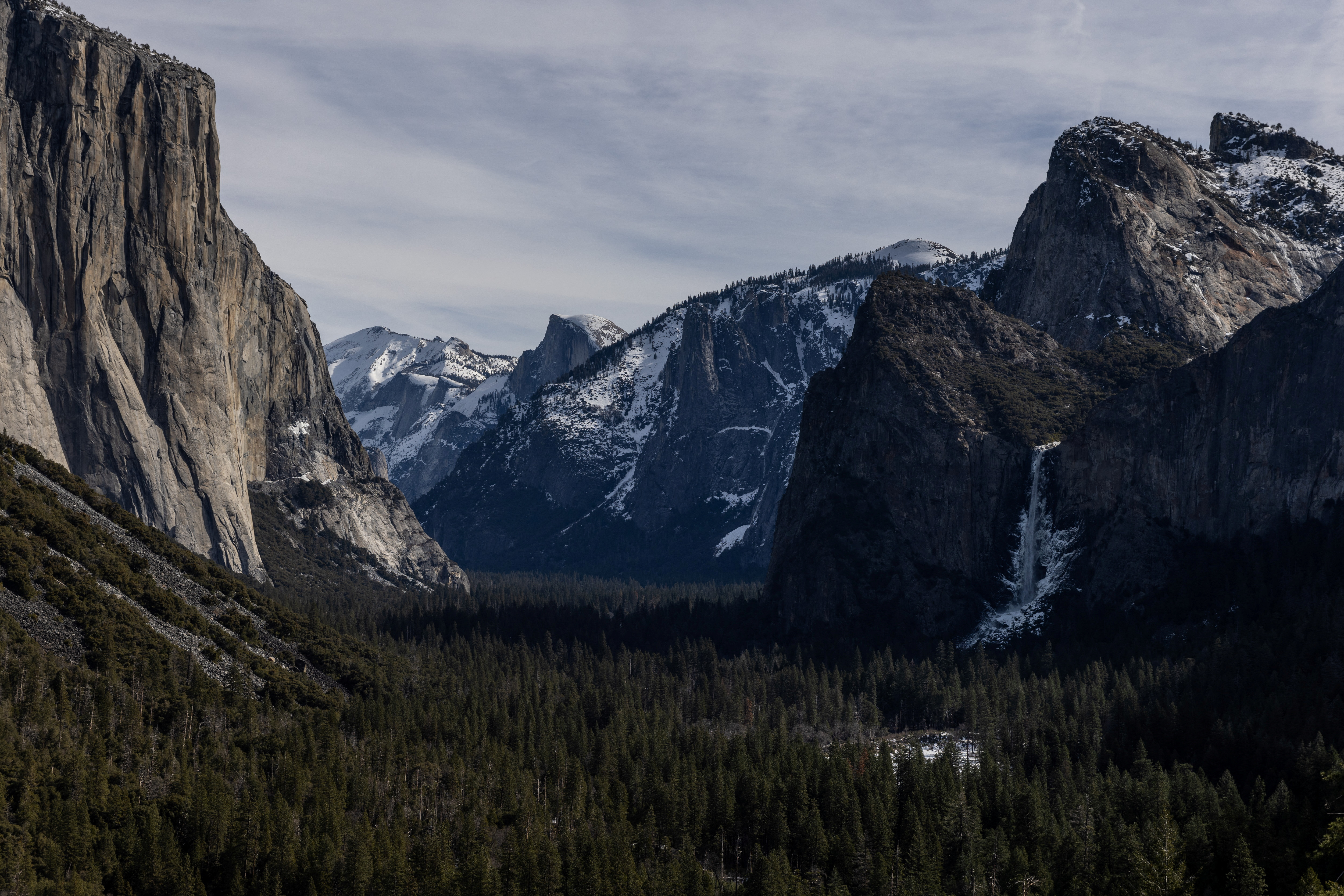 El glotón fue avistado en el Parque Nacional de Yosemite en California, EE.UU., 16 de febrero de 2023. REUTERS/Carlos Barria/Archivo
