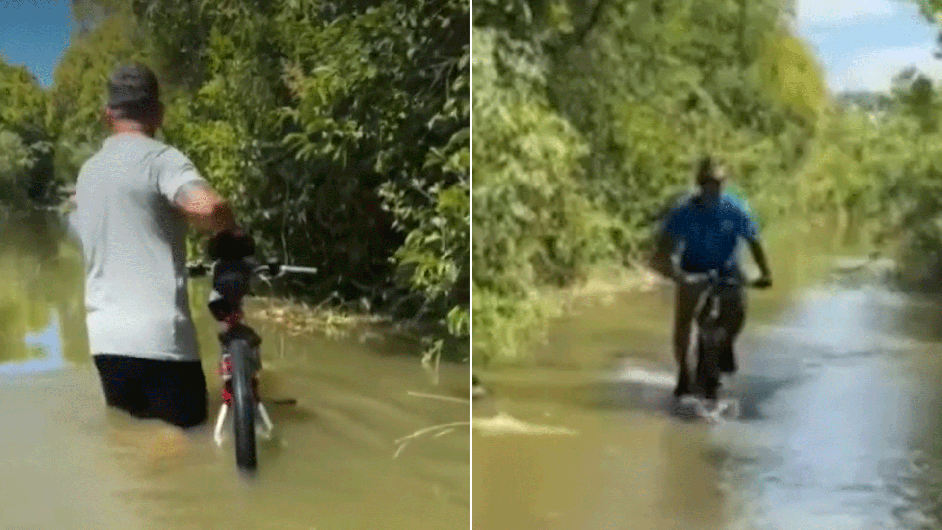 Prevén inversiones por más de USD 3 billones en centros de datos: por qué parte de los fondos podrían llegar a la Argentina