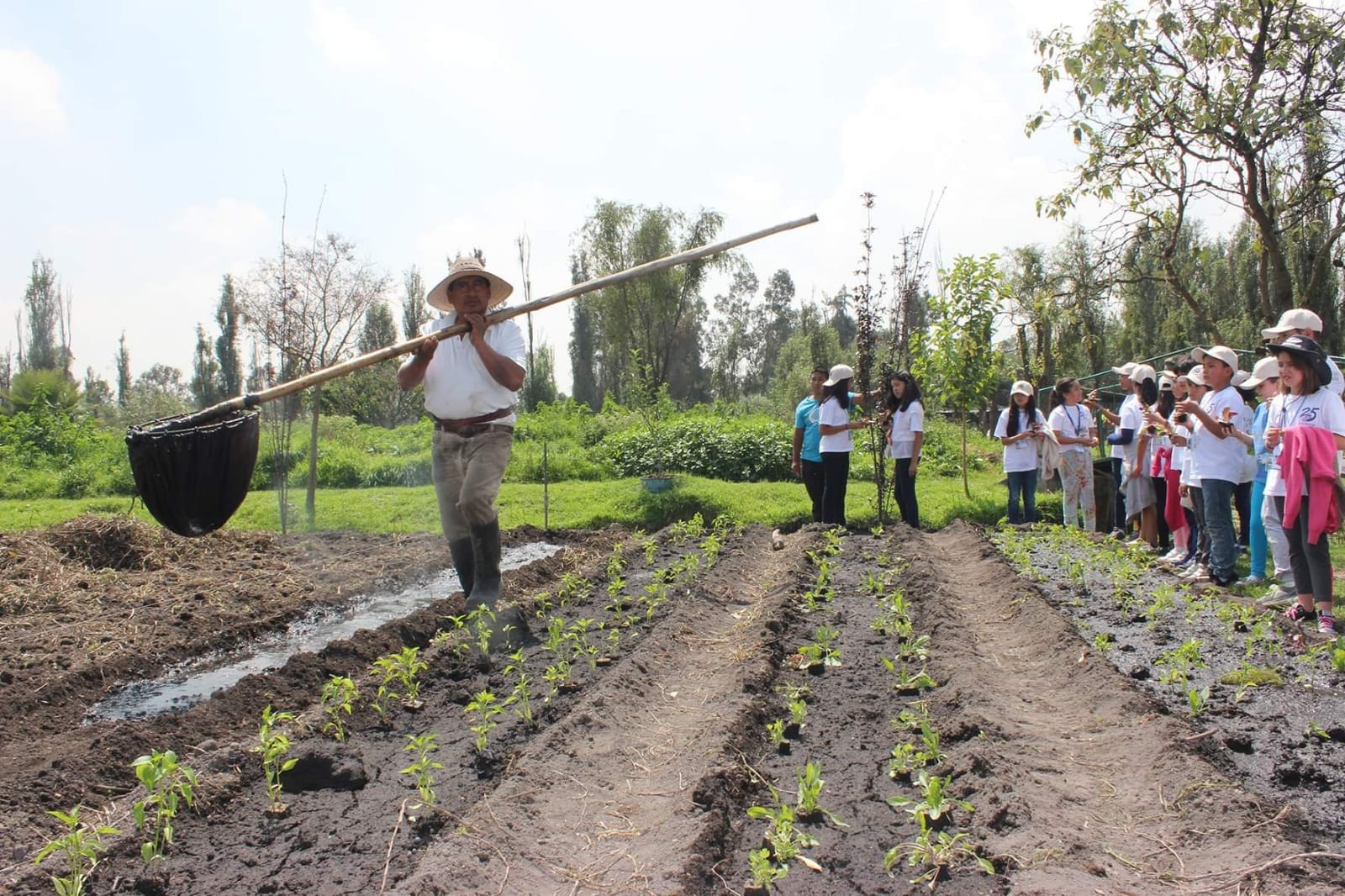 Gracias a la participación de los productores se ha logrado acondicionar refugios para los ajolotes. Foto: Cortesía/Laboratorio de Restauración Ecológica de la UNAM