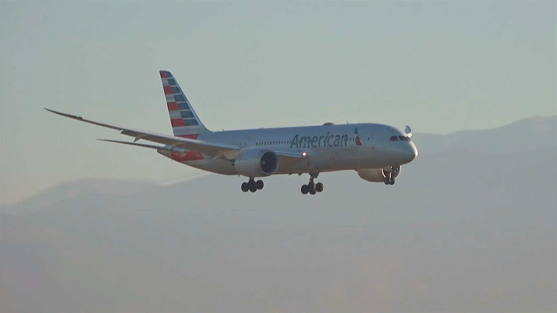 El avión America Airlines trajo el cargamento desde Bélgica y arribó esta mañana al terminal aéreo de Santiago, desde donde serán distribuidos a otras regiones del país