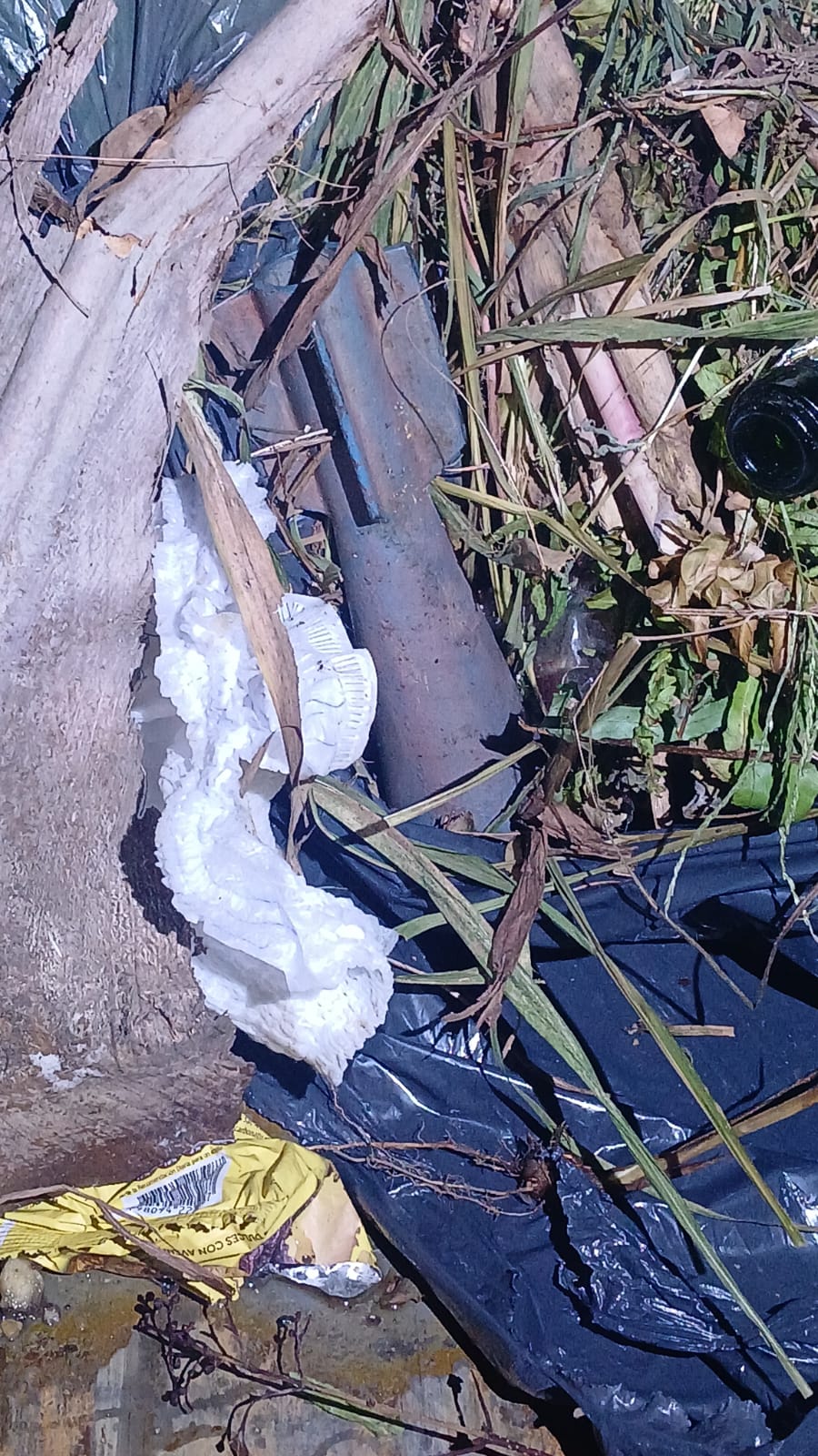 Cómo es el nuevo Índice de Precios que estaba por publicar el director saliente del Indec