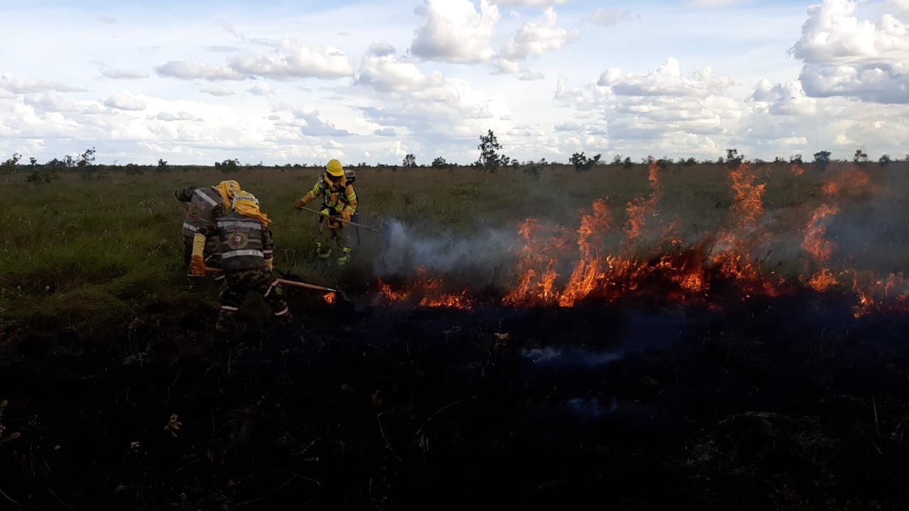 Fotografía de archivo. En la imagen, bomberos controlan el incendio en el Parque Nacional Natural El Tuparro, registrado el pasado 23 de diciembre del 2021. Foto: UNGRD