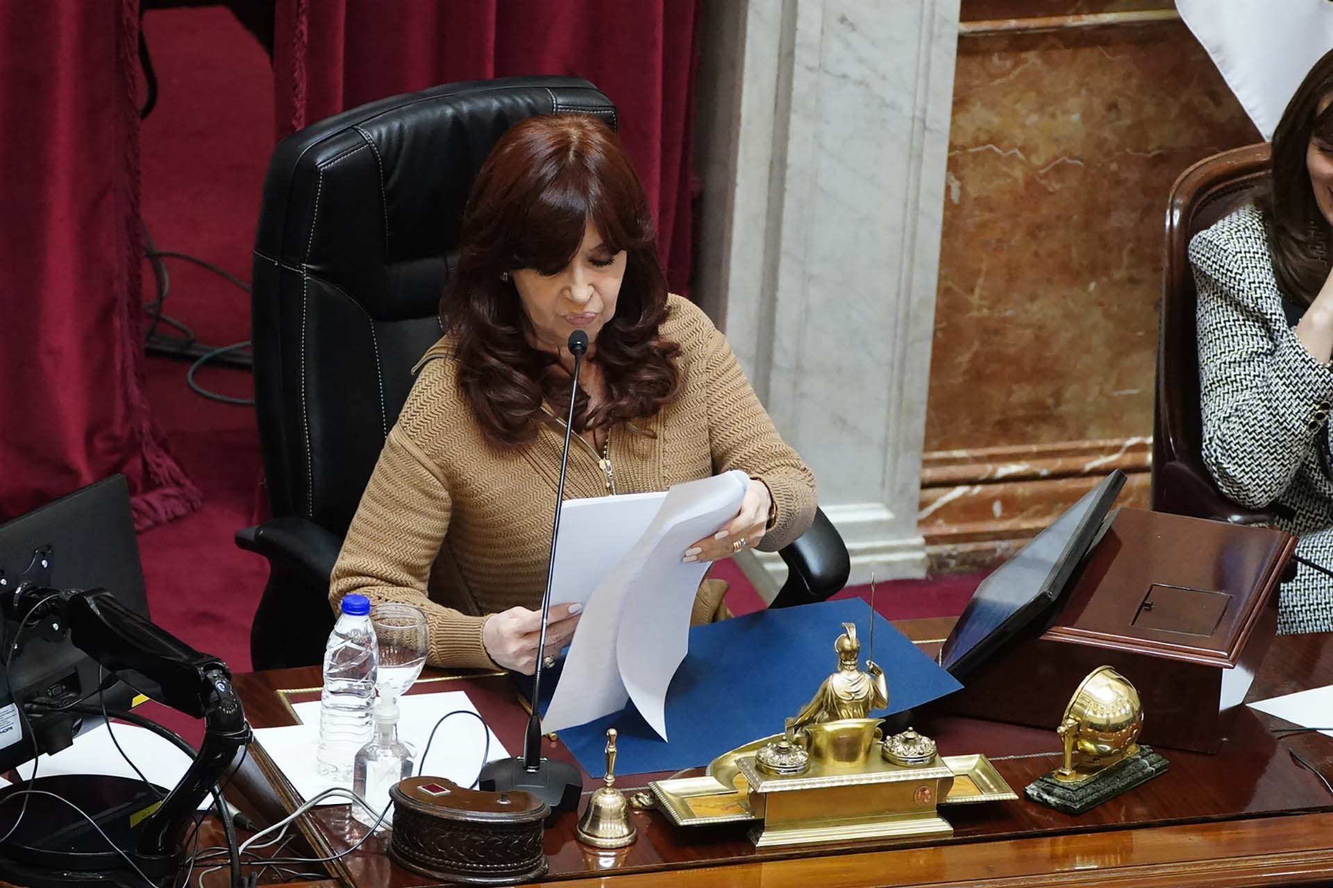 Cristina Kirchner, titular de la Cámara alta (Franco Fafasuli)