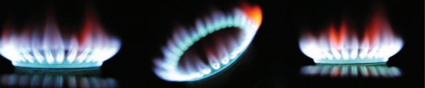 Una marca italiana se quedó el puesto (captura de pantalla: Revista del Consumidor)